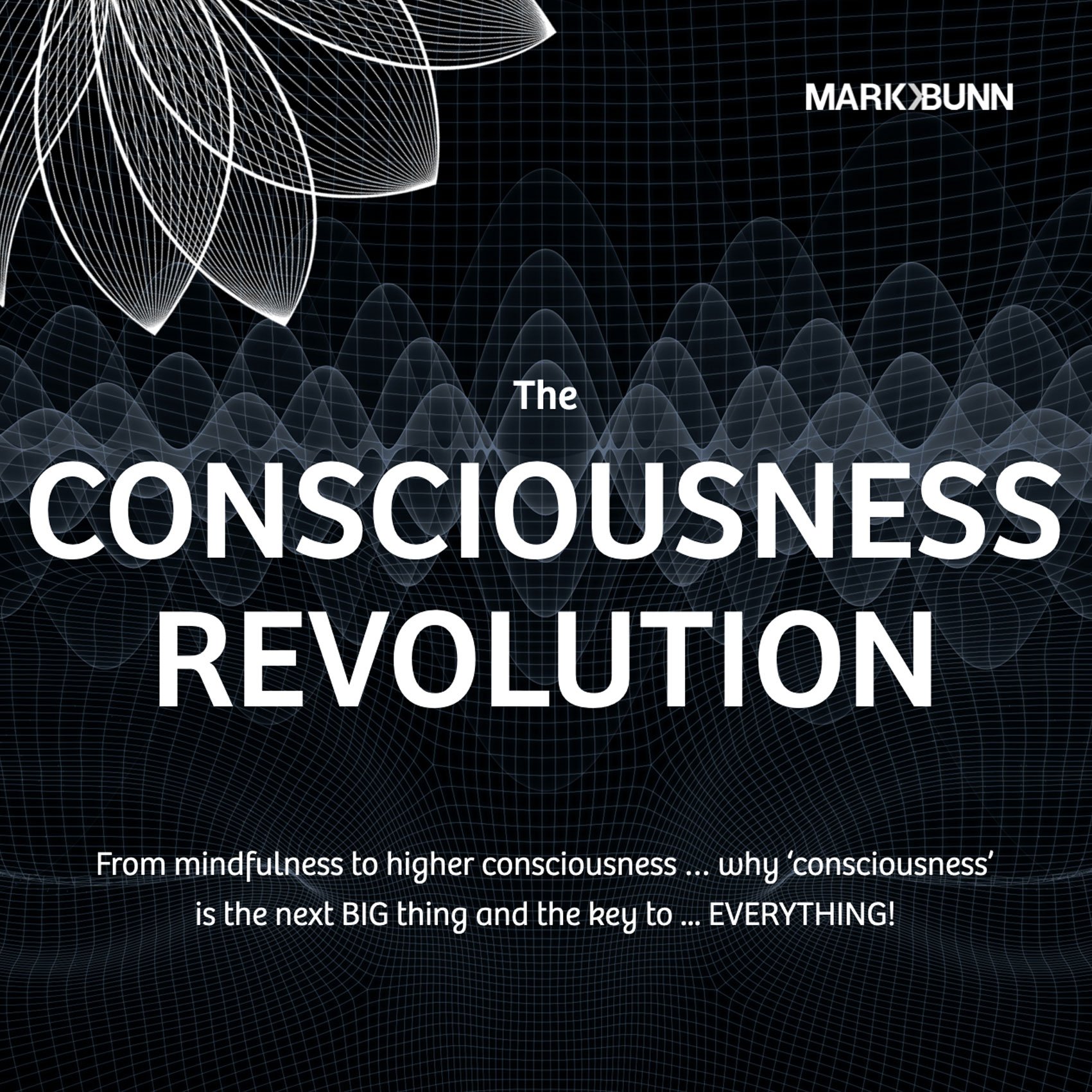 The-Consciousness-Revolution.jpg