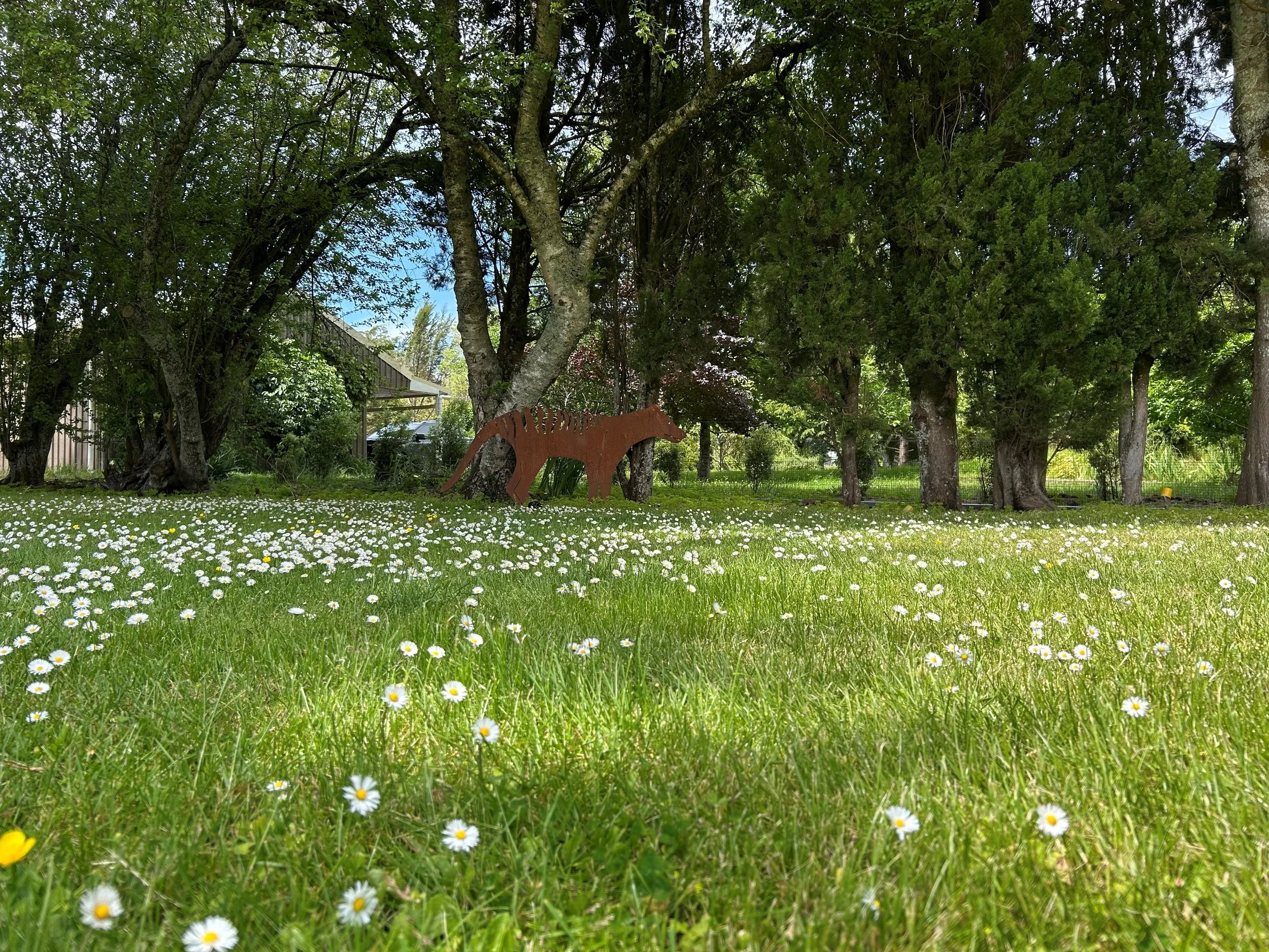 Garden 1.jpg
