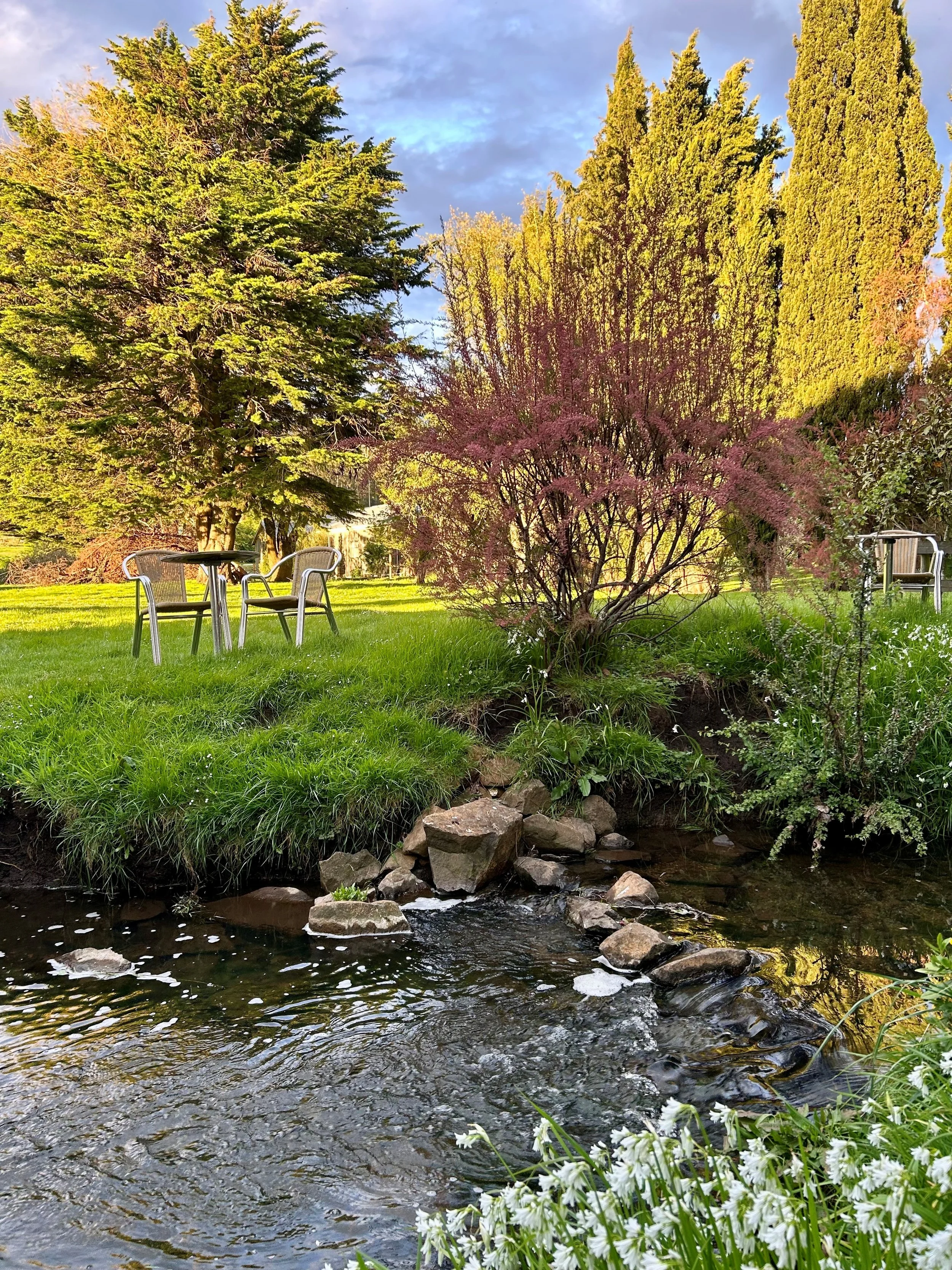 Garden 3.jpg
