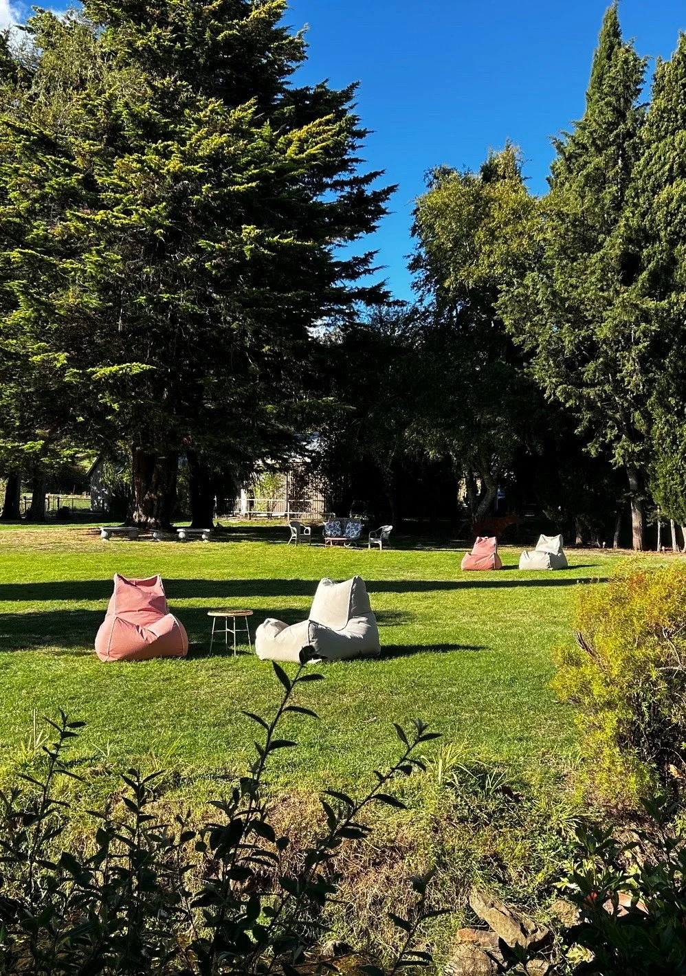 Garden 4.jpg