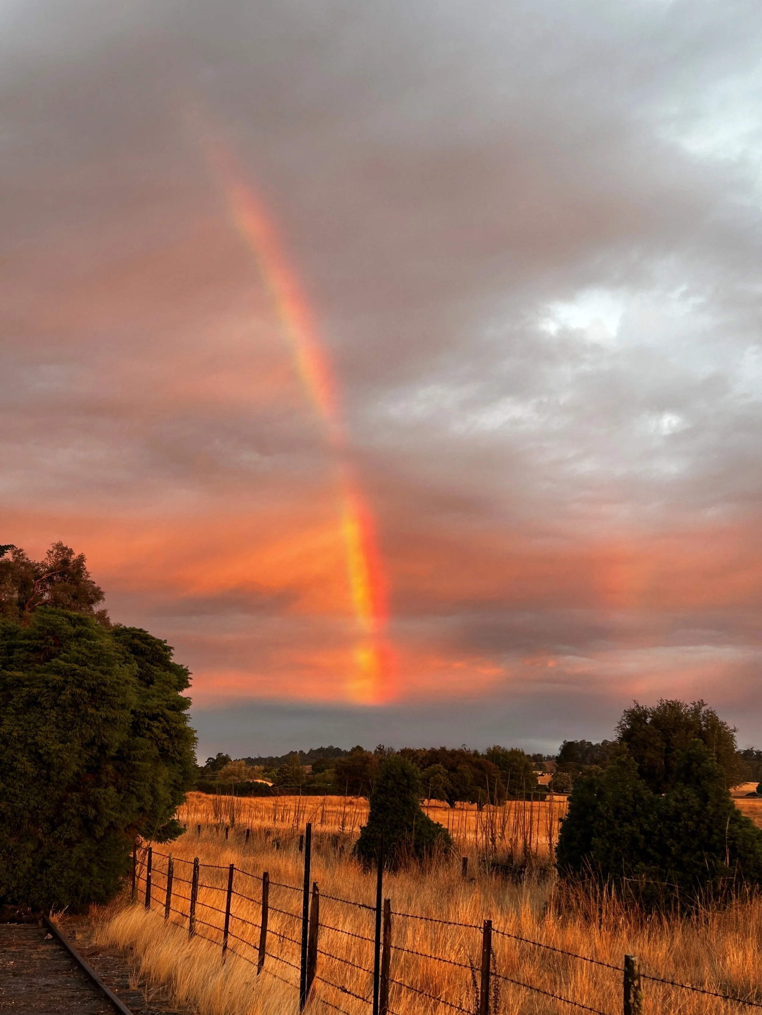 Rainbow 1.jpg