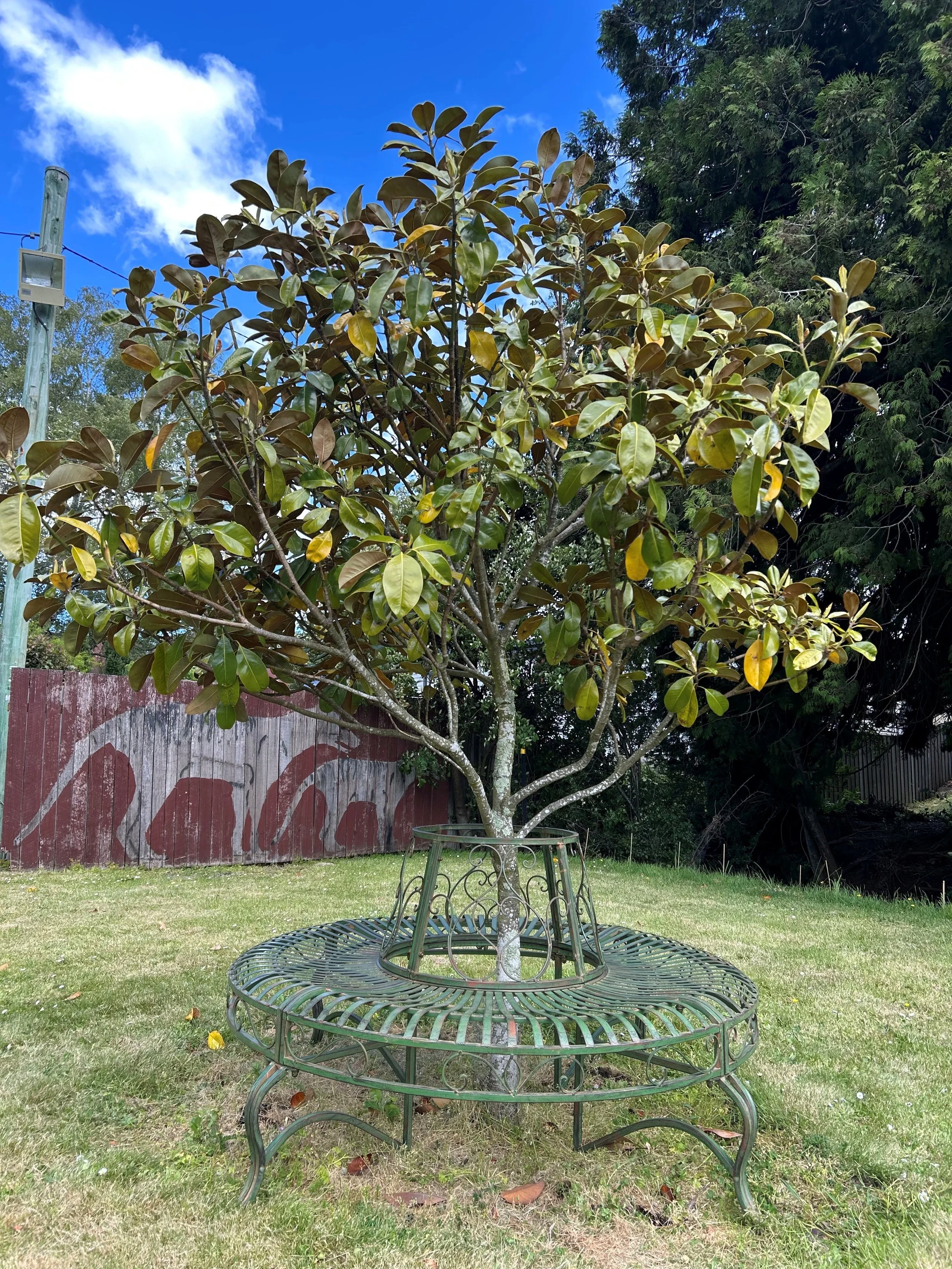 Garden 2.jpg