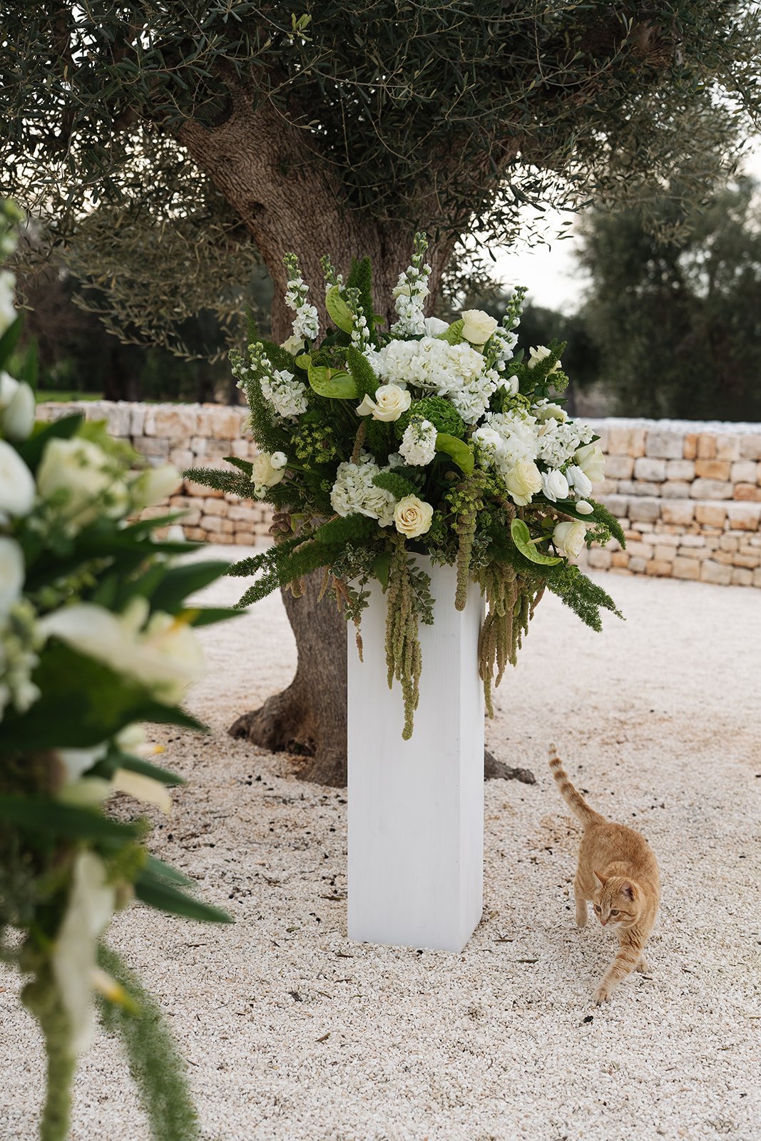 Wedding-Masseria-Tarsia-Morisco-Puglia-78.jpg