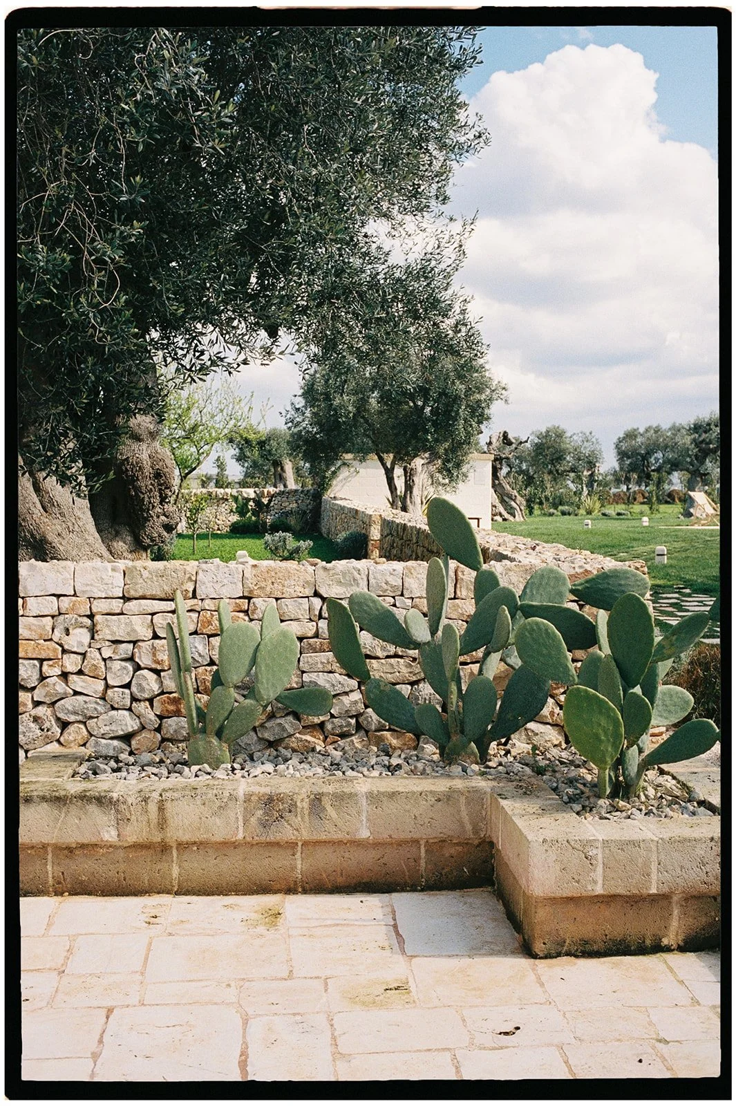 Wedding-Masseria-Tarsia-Morisco-Puglia-3.jpg