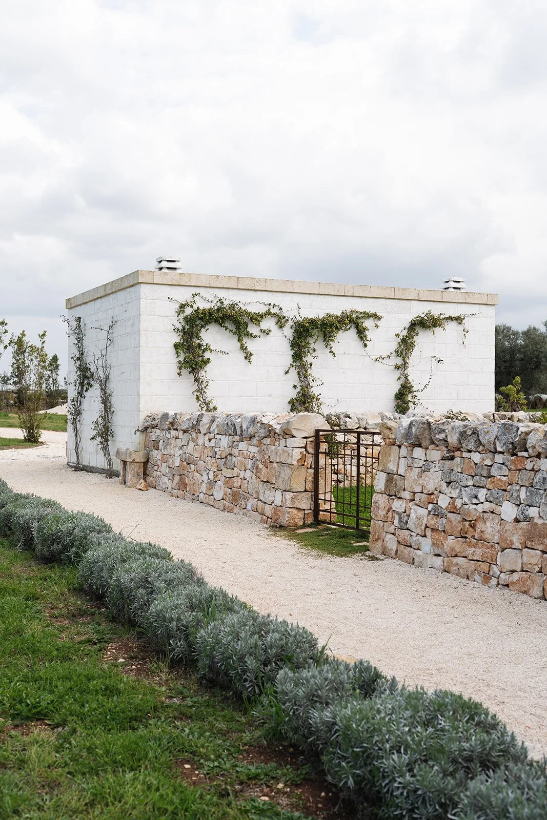 Wedding-Masseria-Tarsia-Morisco-Puglia-19.jpg