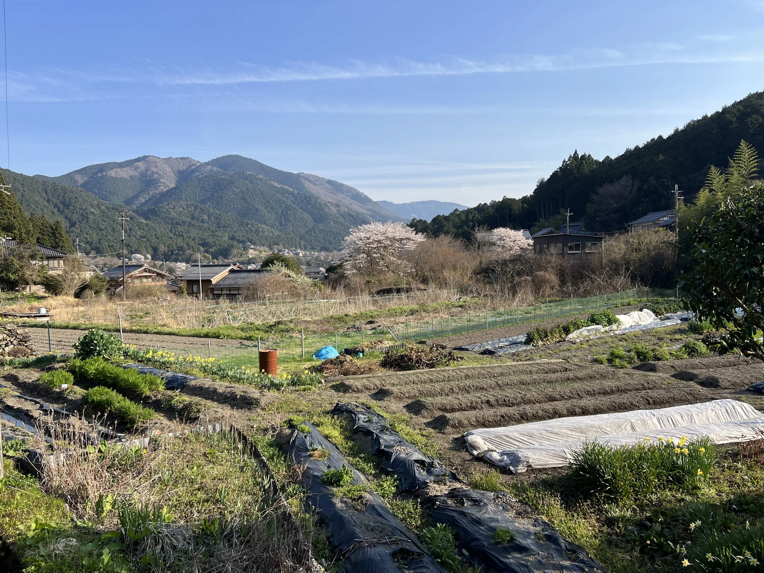 Beautiful countryside views in Ohara in Spring