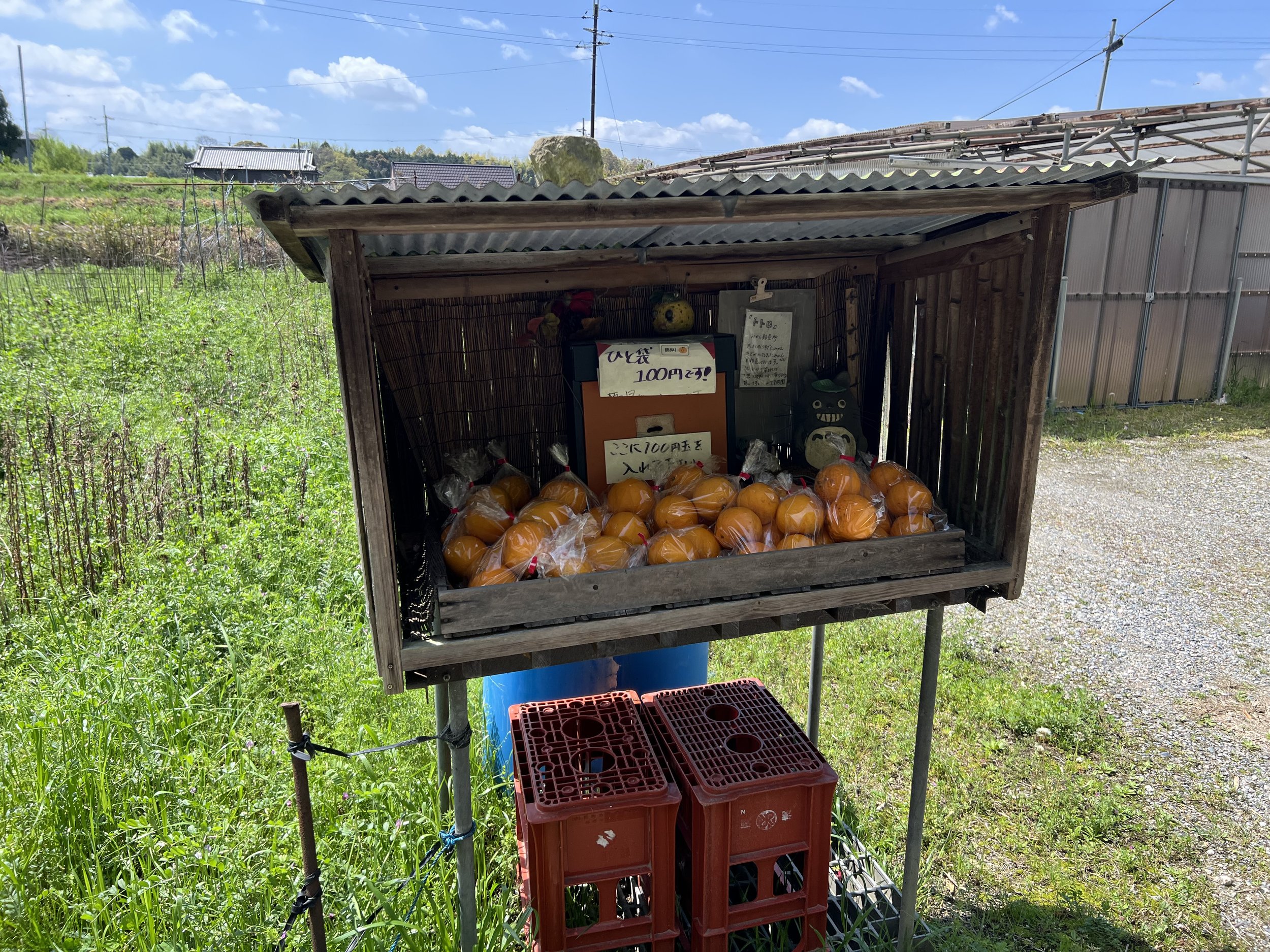 Unmanned fruit stalls on the Yamanobe no Michi trail