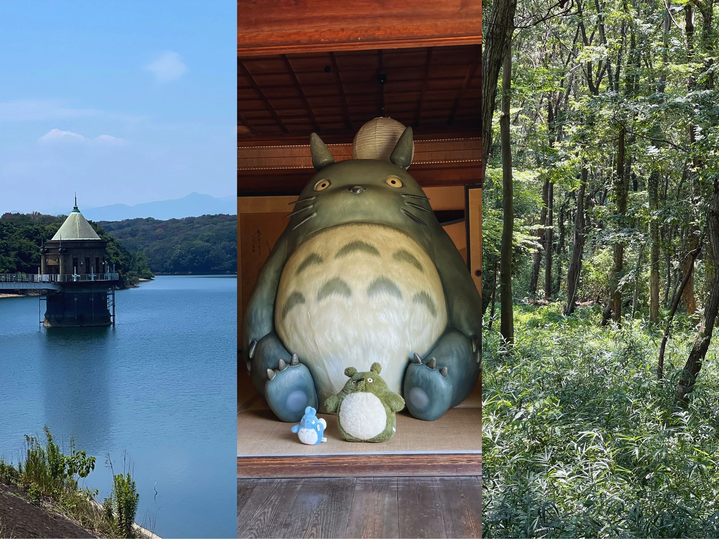 Sayama Day Trip including Sayama Nature Park, Sayama Lake, Totoro Forest and Kurosuke's House