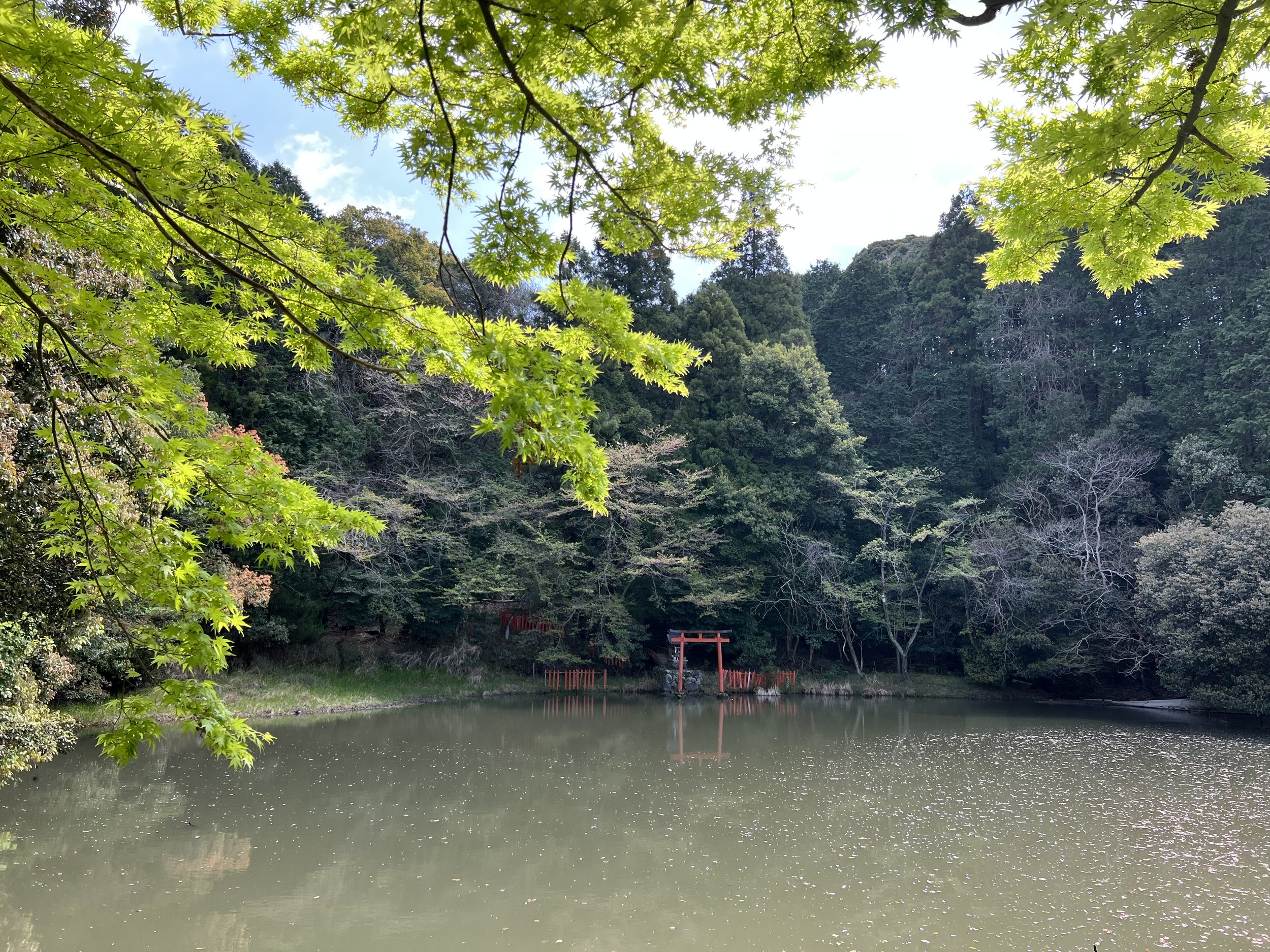 Tori gate by a pound on Yamanobe-no-Michi trail