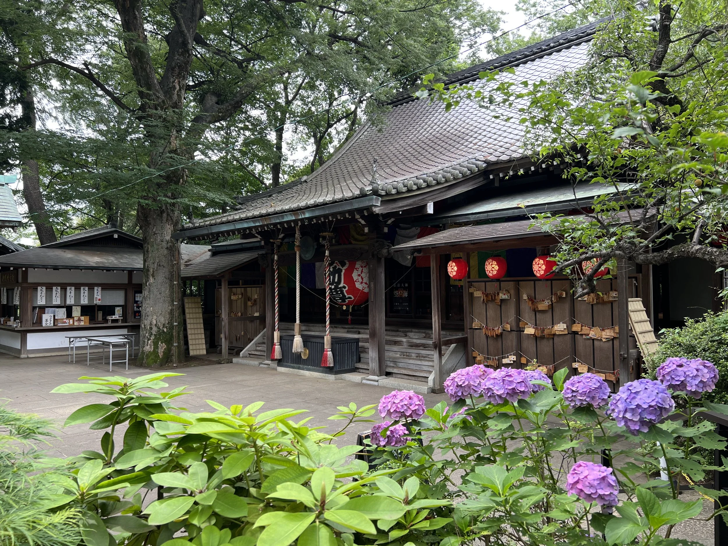 Todoroki-Fudoson-Tokyo