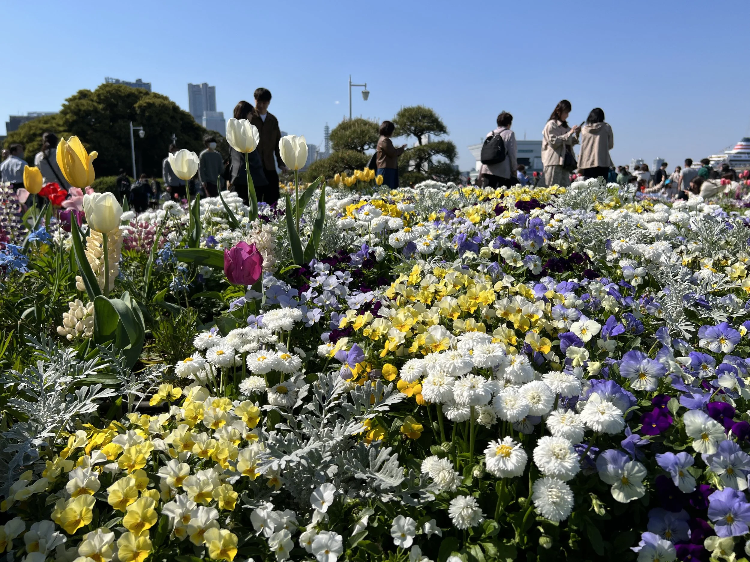 Garden Necklace Yokohama - Flowers at Yamashita Park