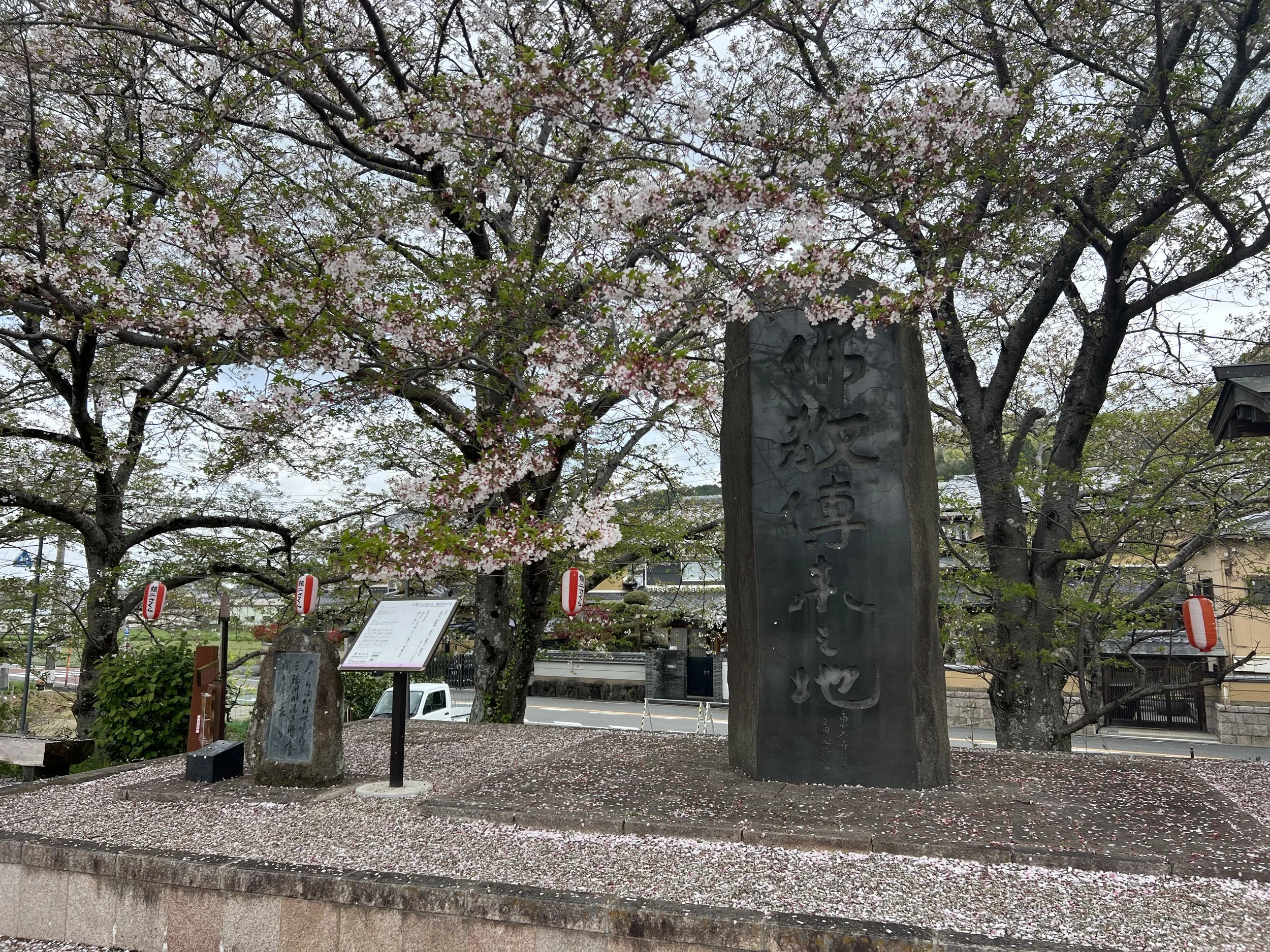 Monument dedicated to start of Buddhism with cherry blossoms around in Sakurai city