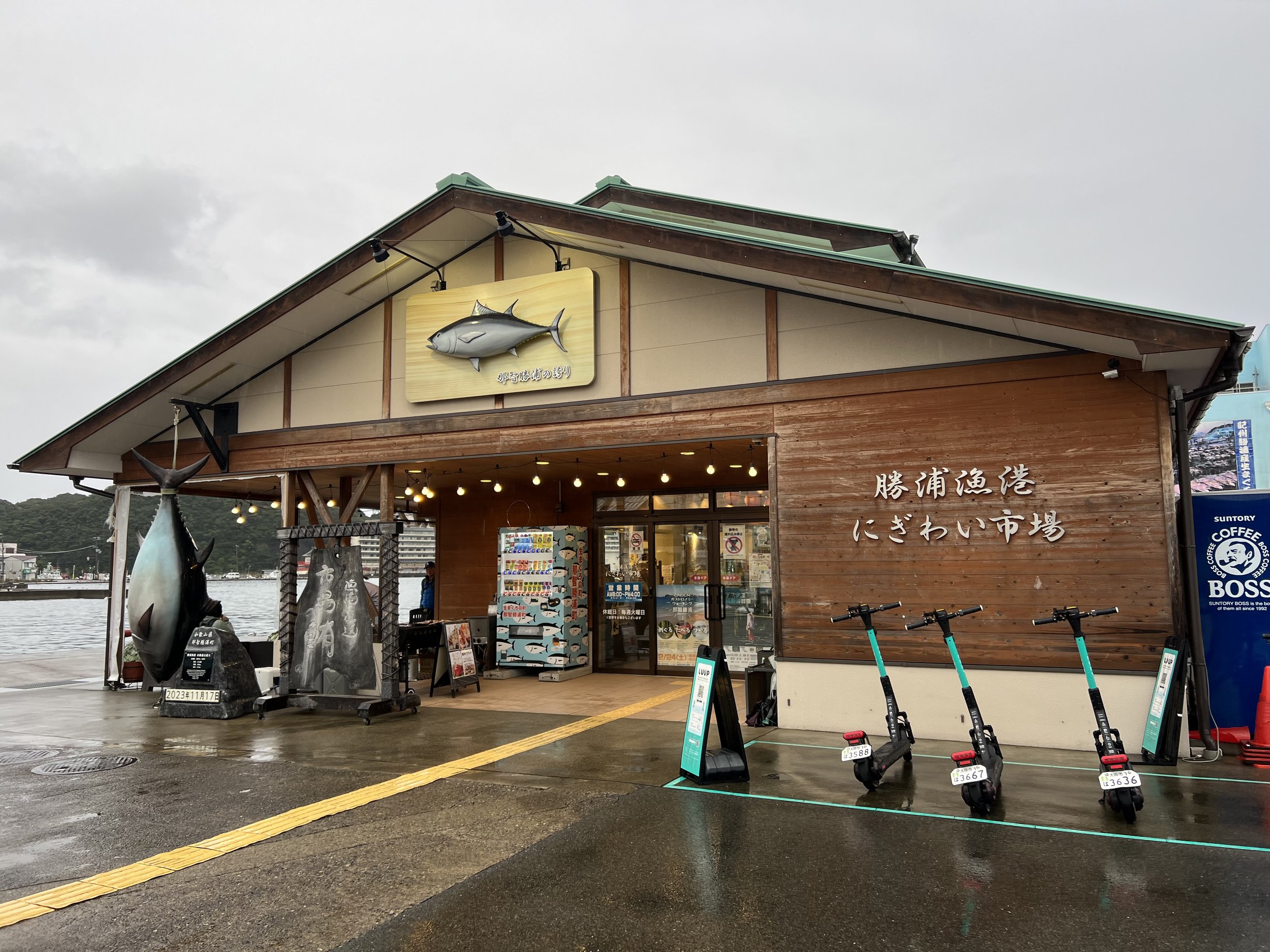 Katsuura Fish Market