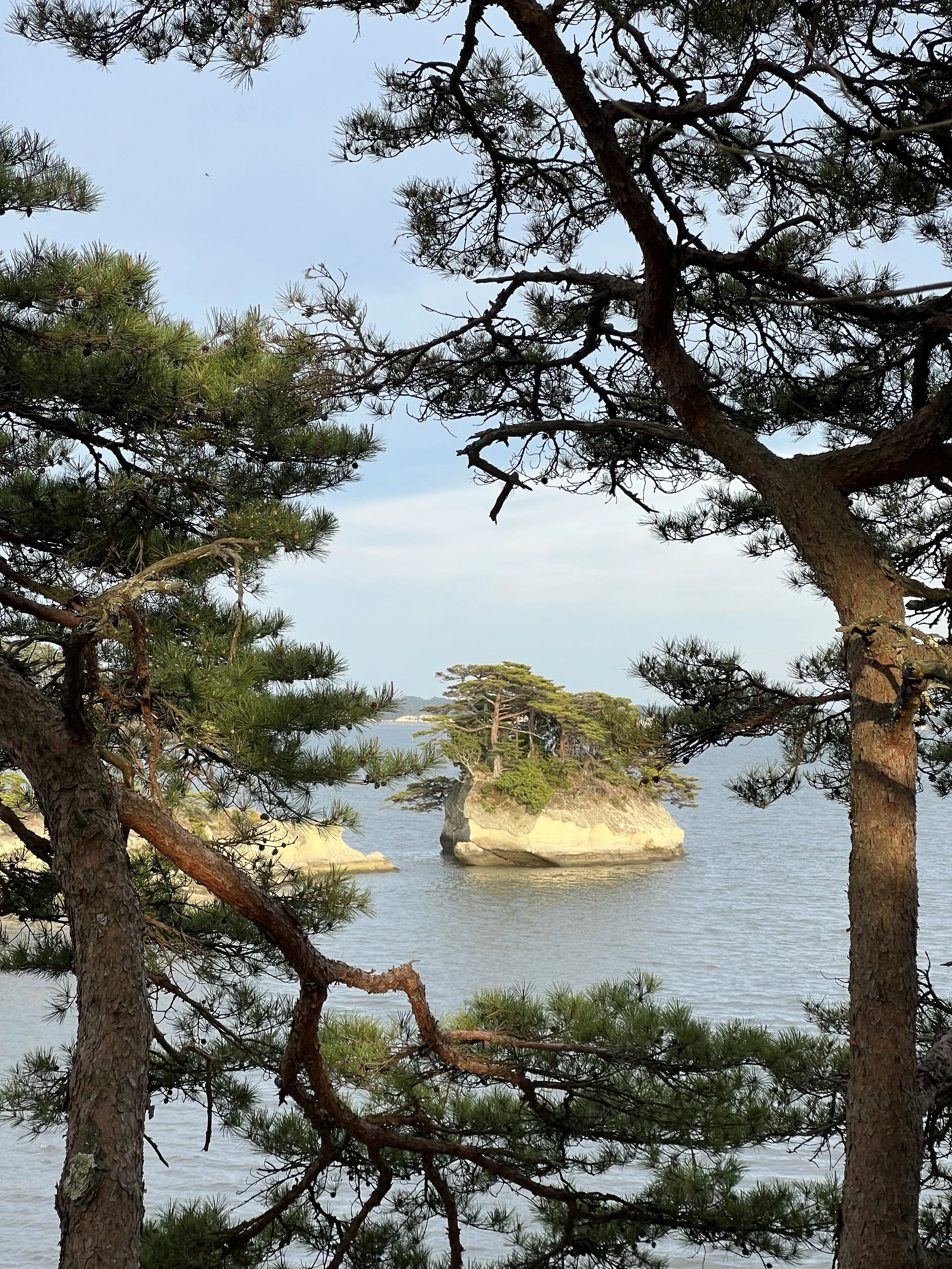 View of Matsushima Bay from Oshima