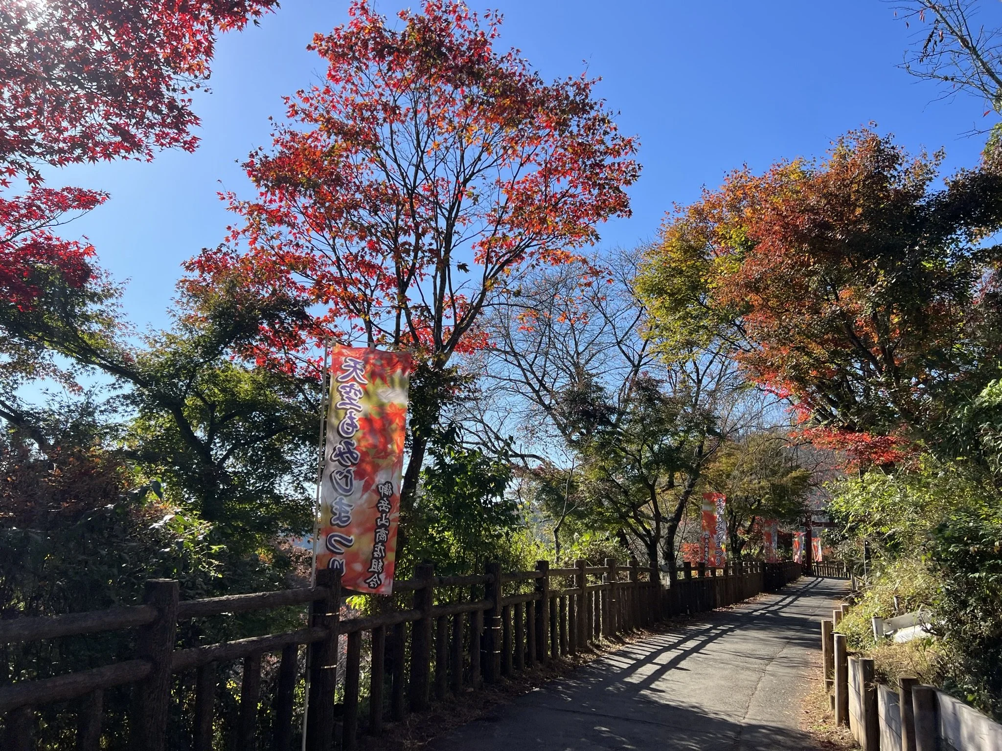 Path to Mt Mitake with autumn colors
