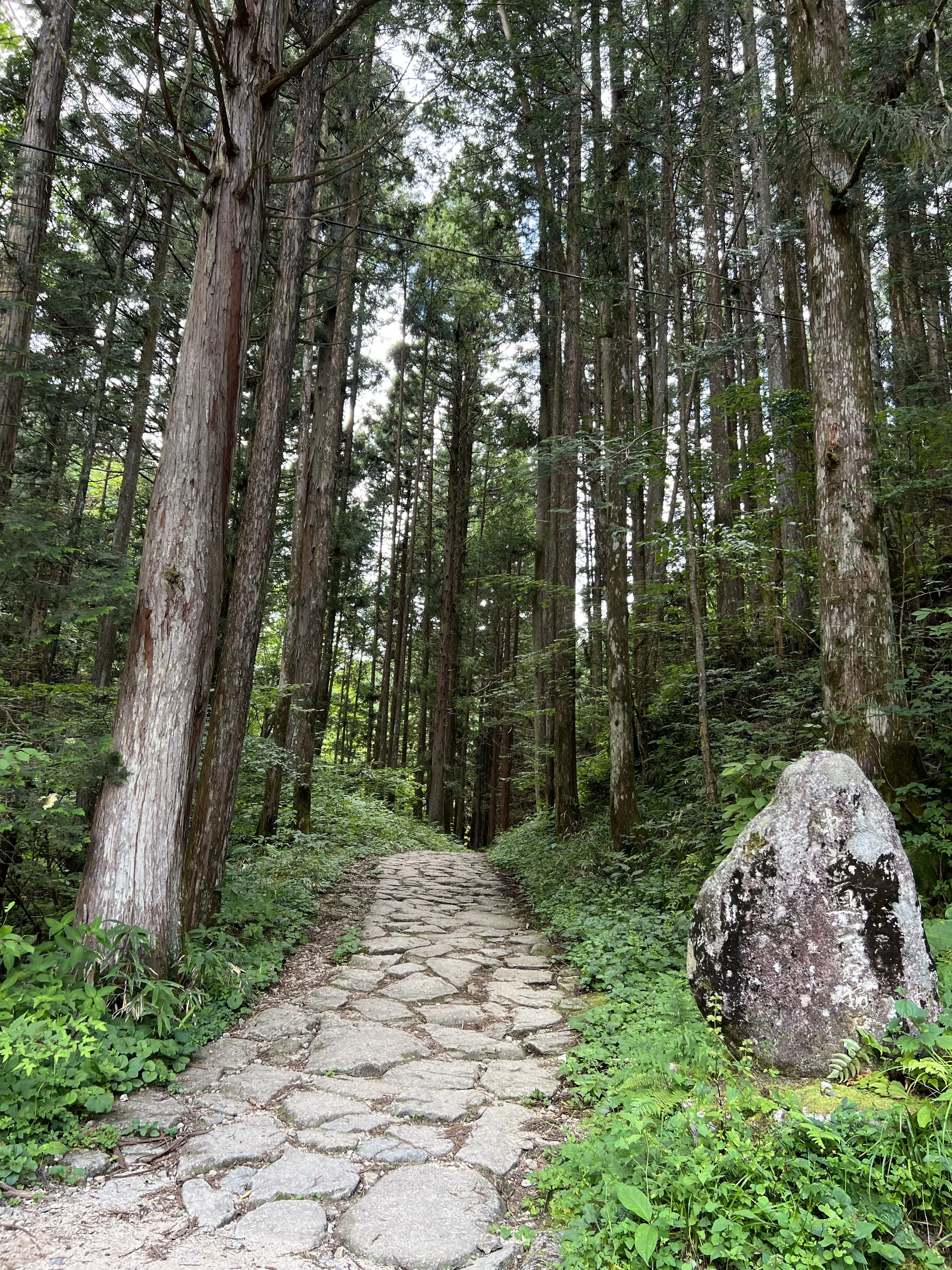 Nakasendo ancient trail