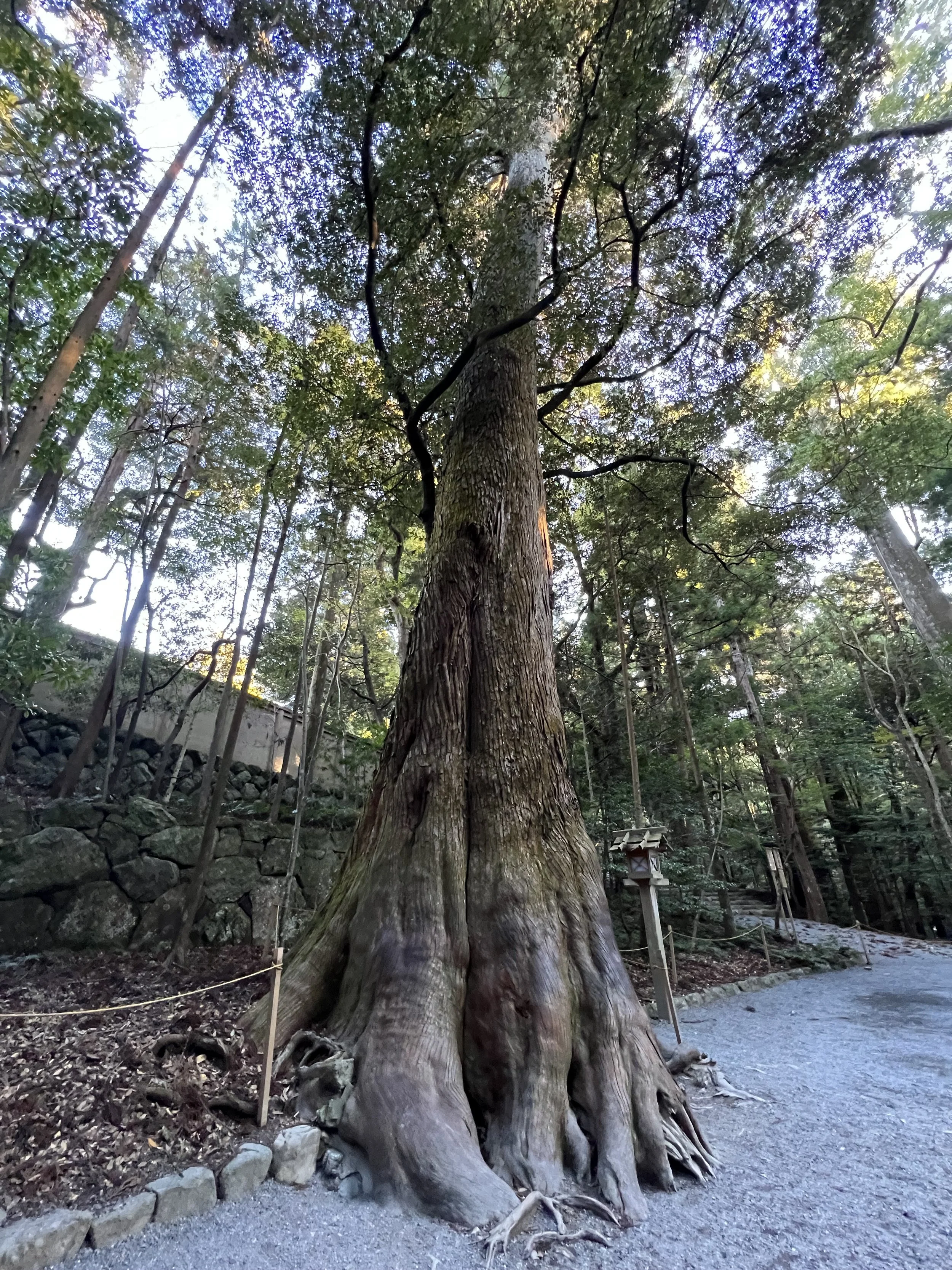Naiku Inner shrine, Ise Jingu