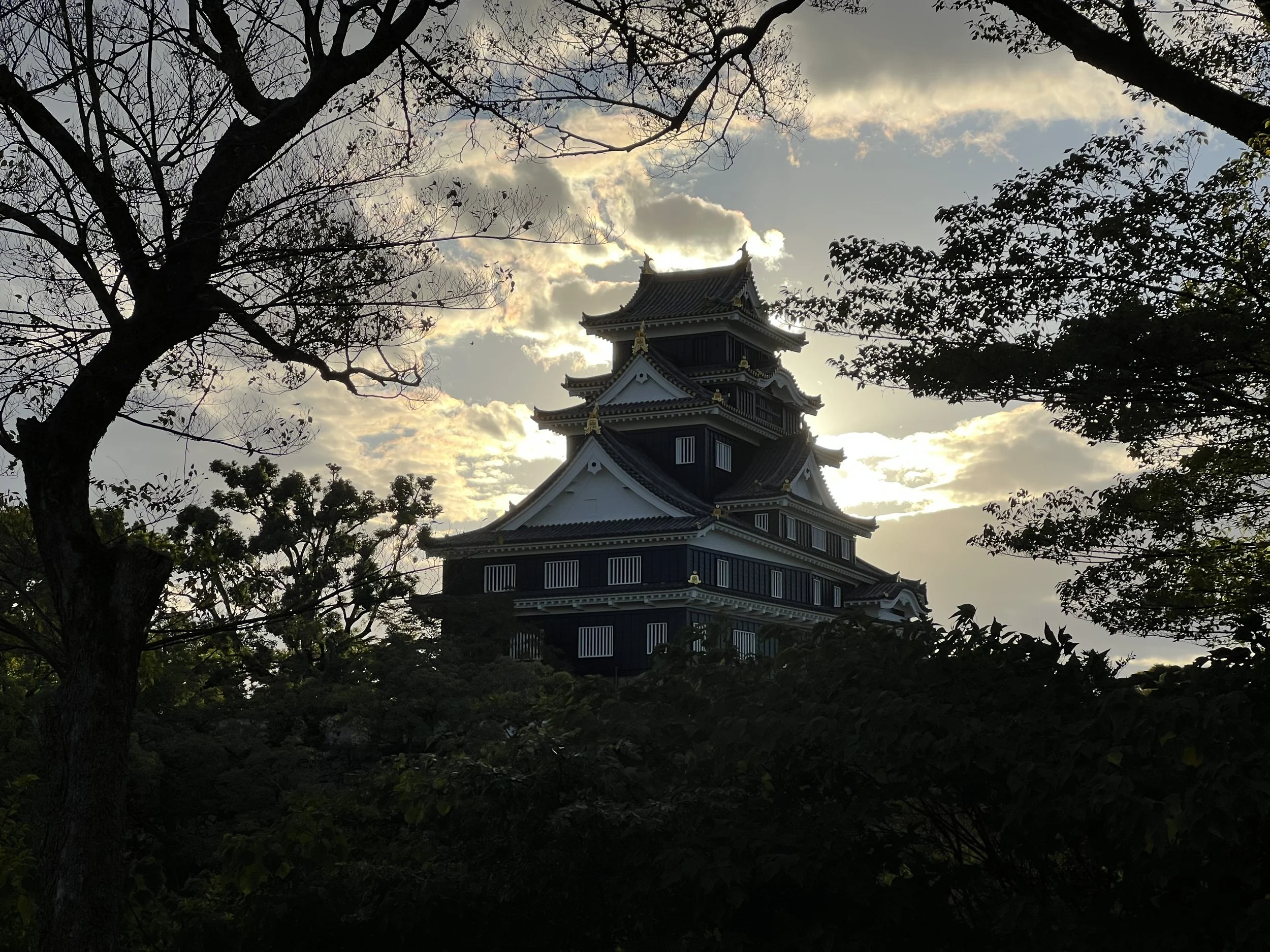 Okayama Castle during Golden Hour