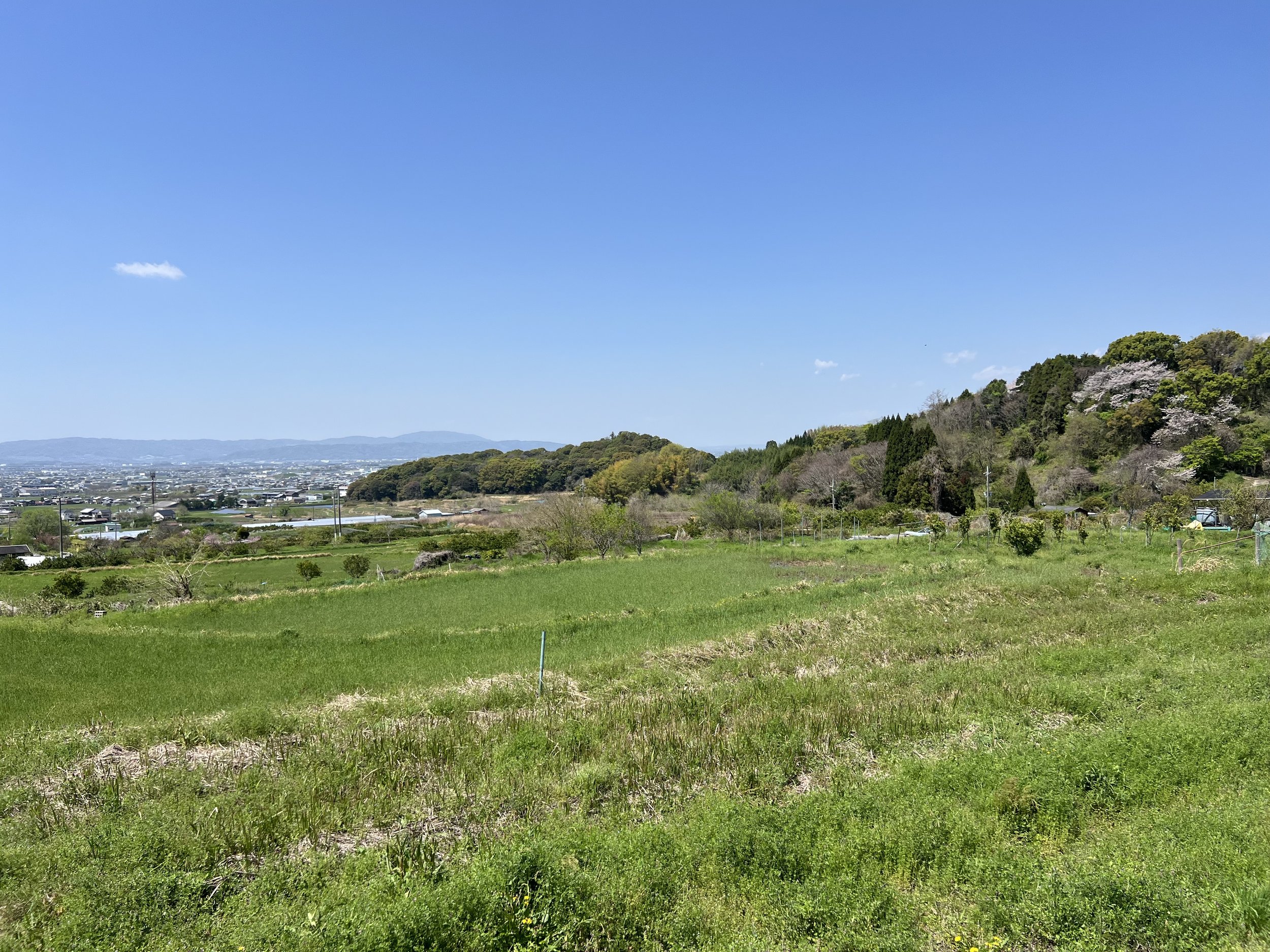 Countryside views in Nara
