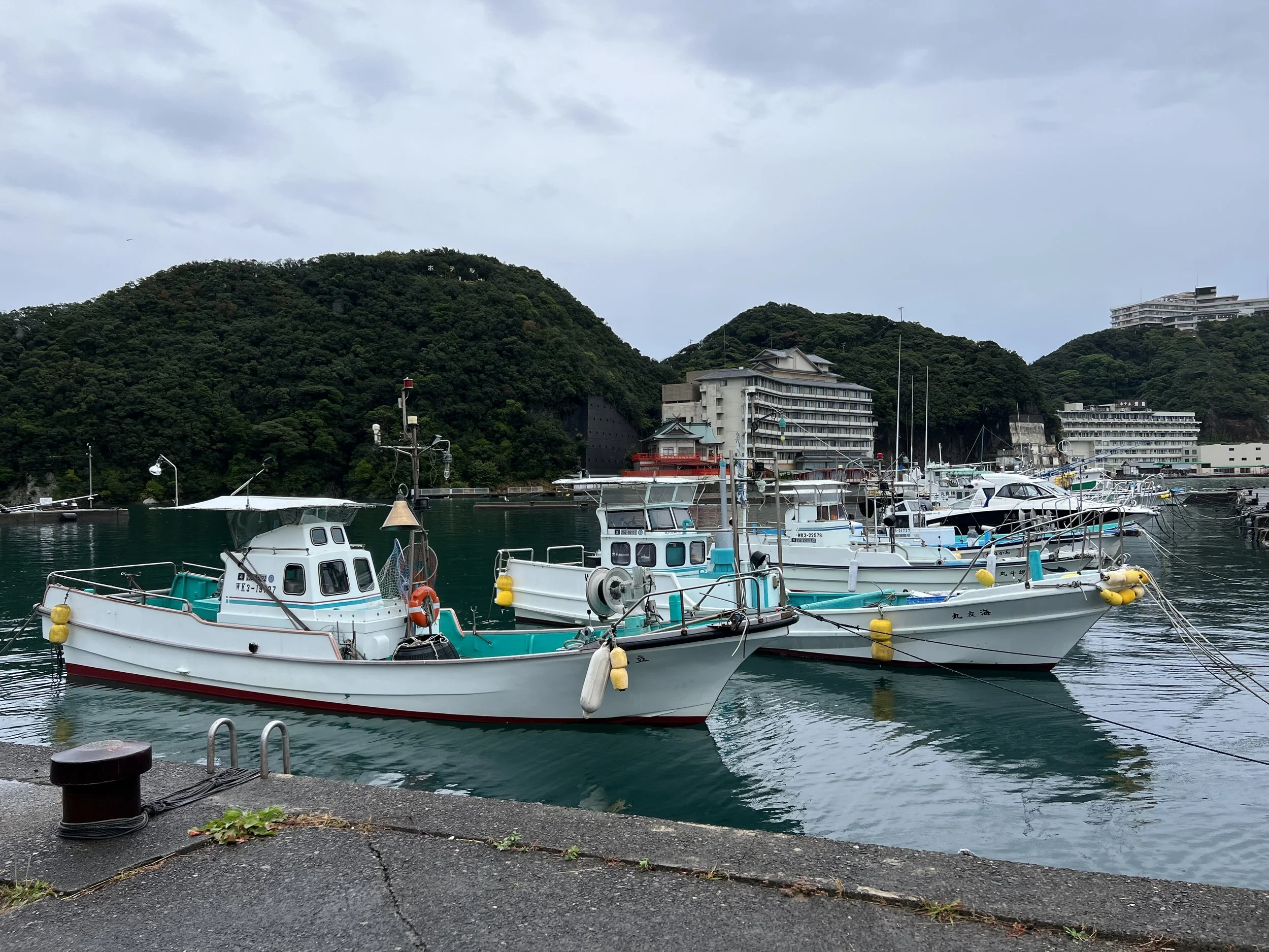 Kii-Katsuura, fishing town in Wakayama prefecture