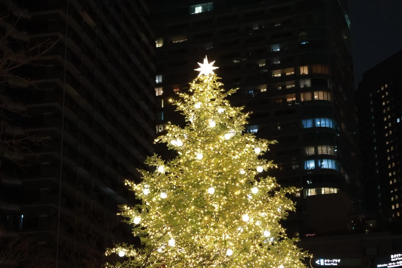 Big Christmas Tree in Tokyo