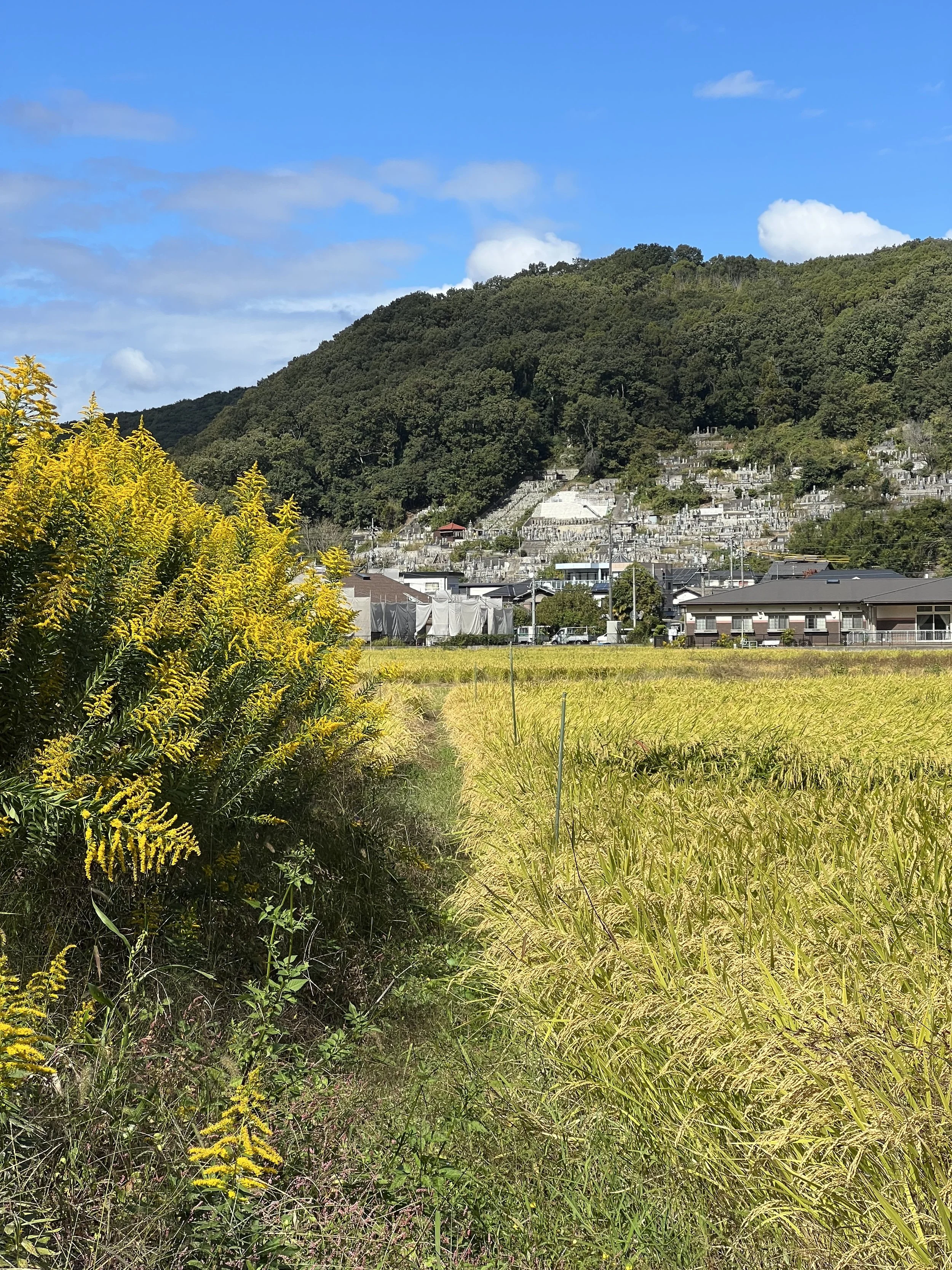 Kibitsu countryside and autumn colors