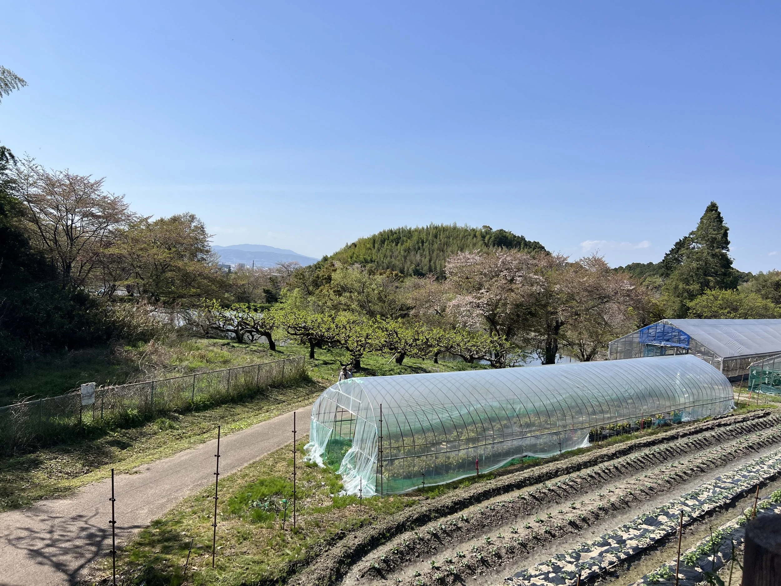 Farmlands on the Yamanobe no Michi Trail