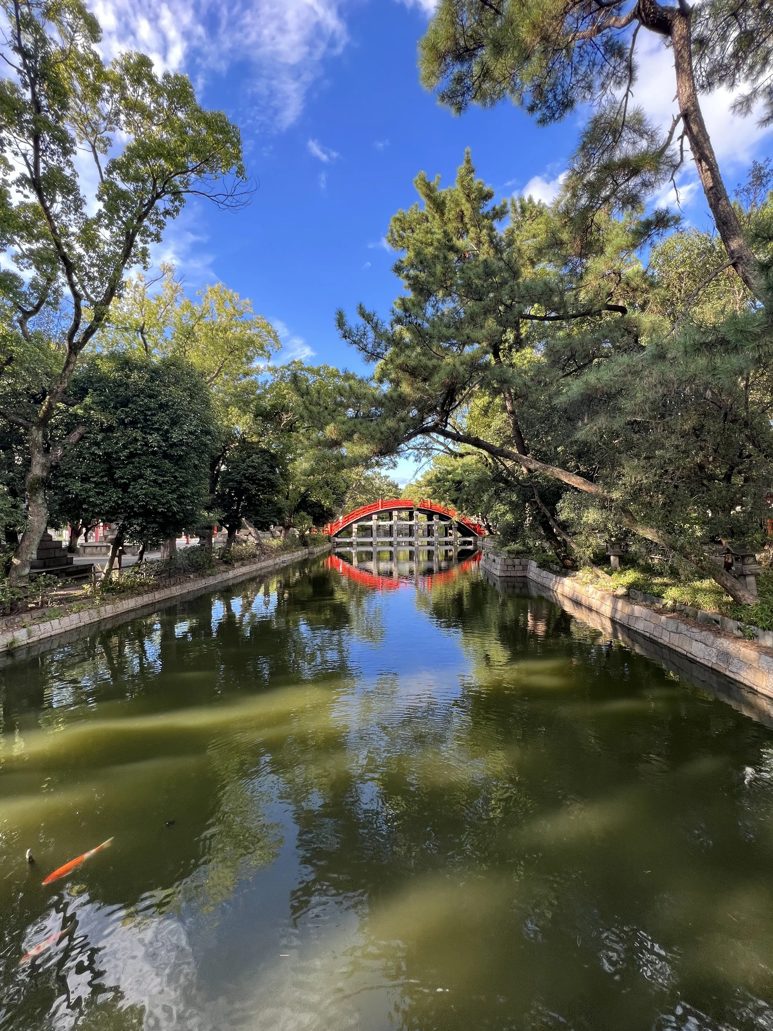 Sorihashi Bridge and koi fish at Sumiyoshi Taisha in Osaka