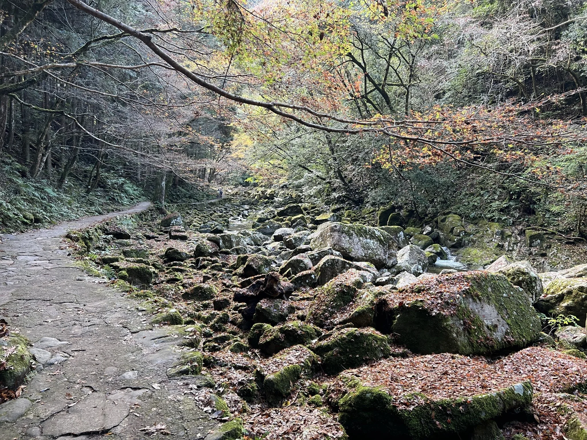 Akame 48 Waterfall Hiking trail in autumn