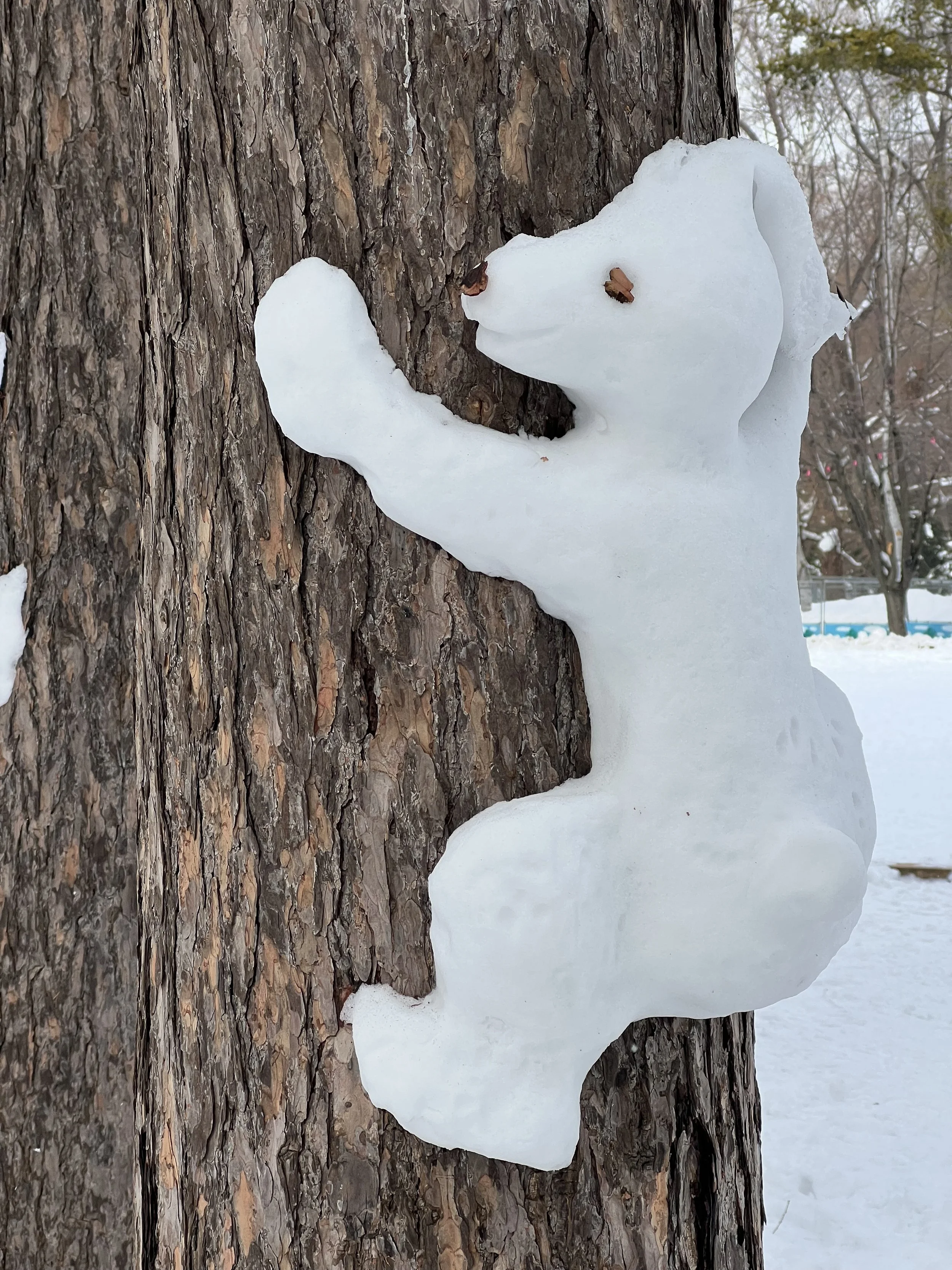 Snow sculpture on tree at Maruyama Park in Sapporo