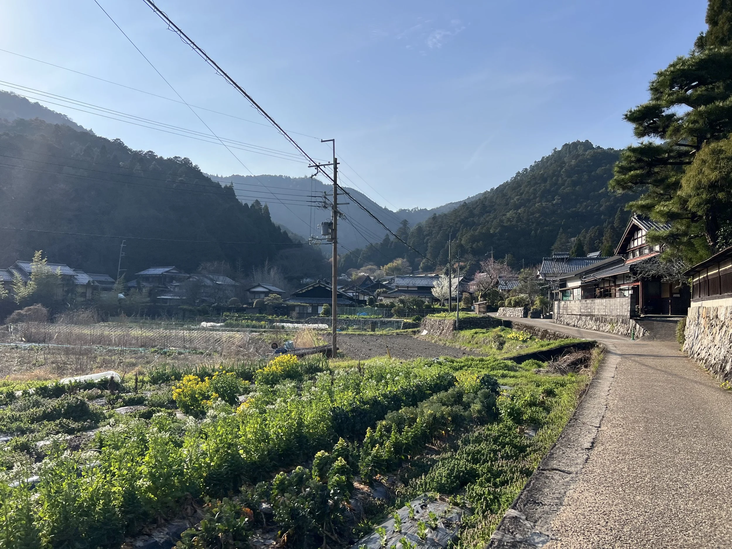 Walk to Jakko-in Temple in Ohara's beautiful countryside
