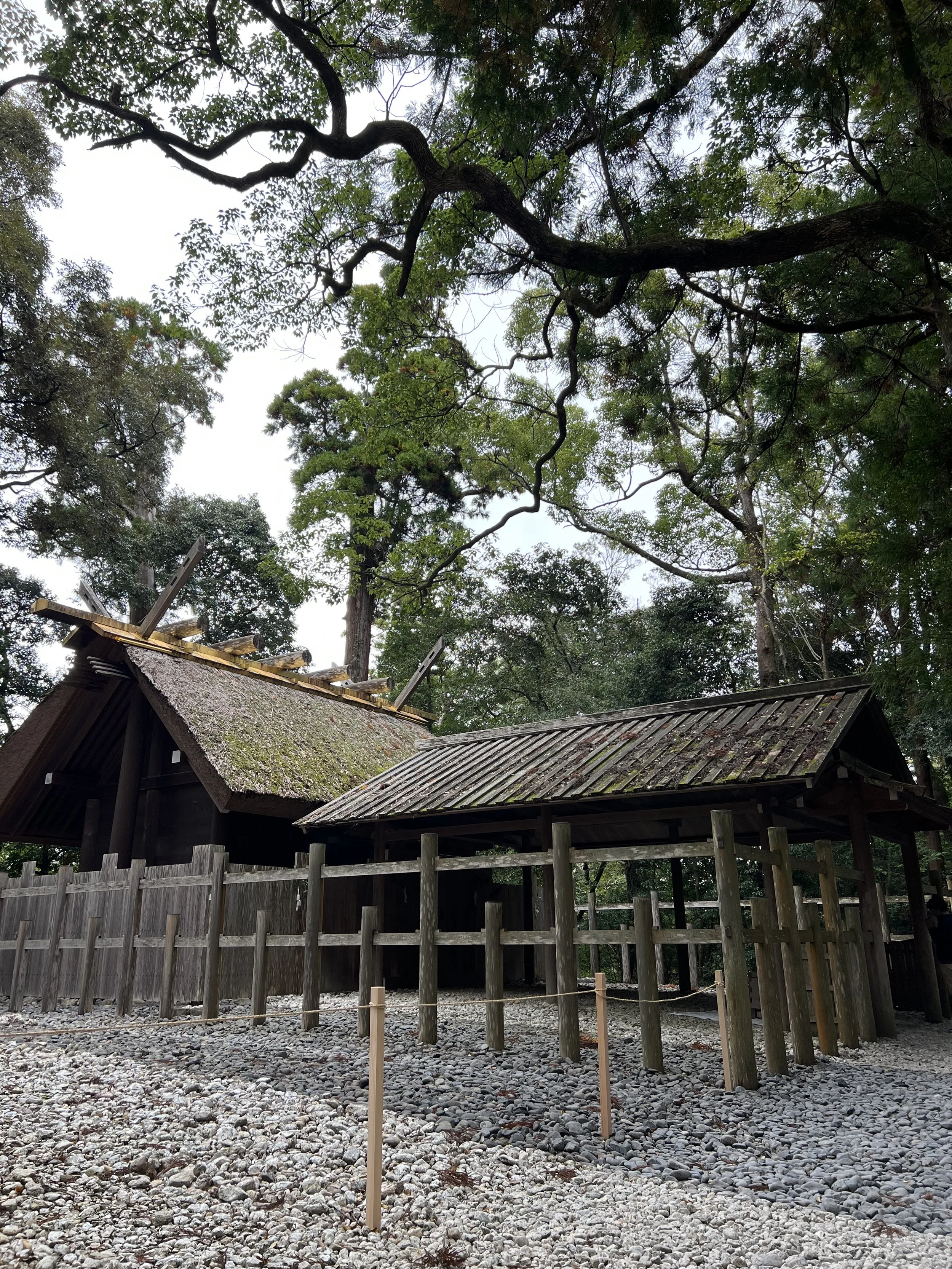 Outer shrine of Ise Jingu