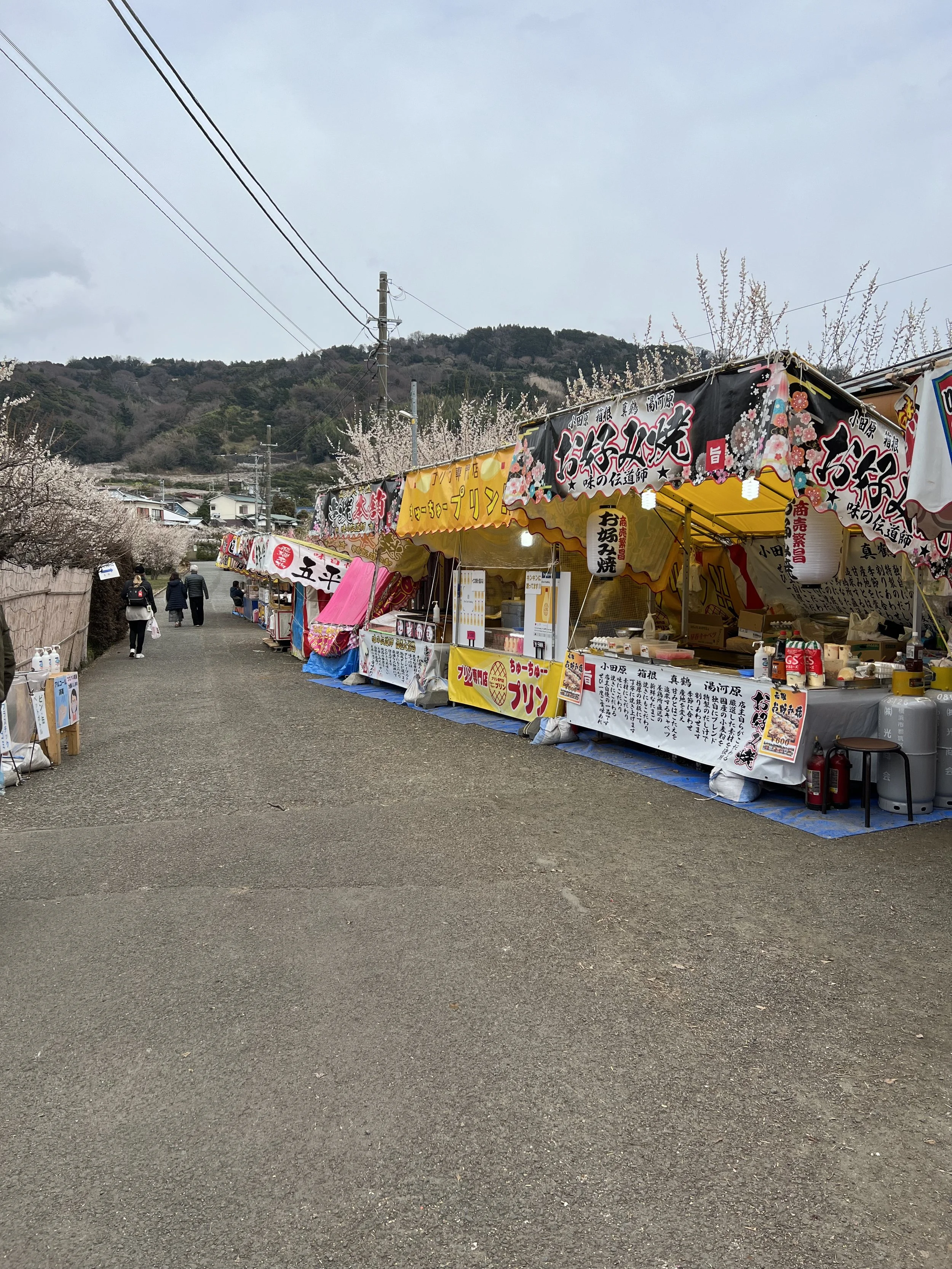 Japanese food stalls