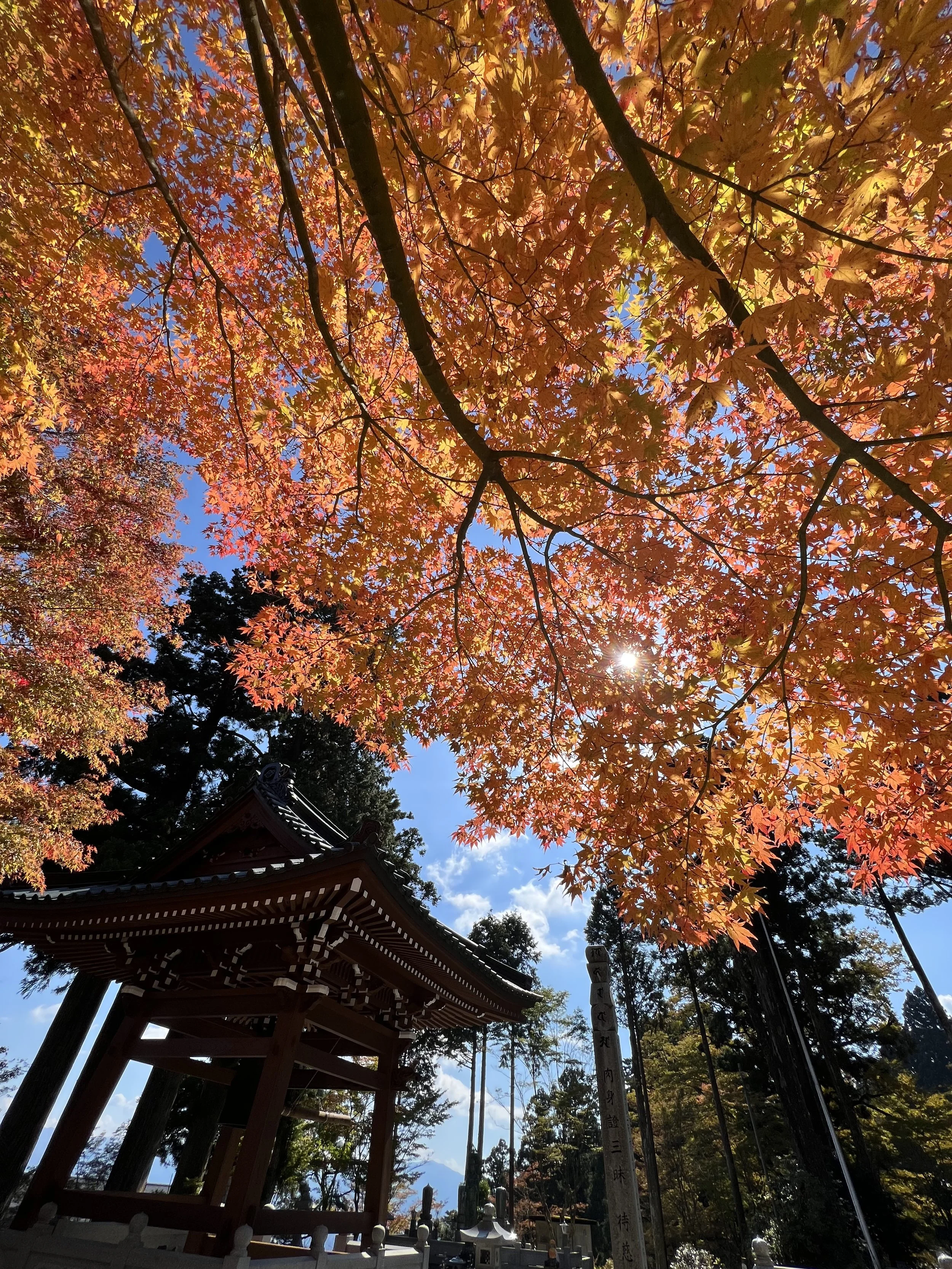 Fall foliage at Unpenji Temple, hidden gem in Shikoku
