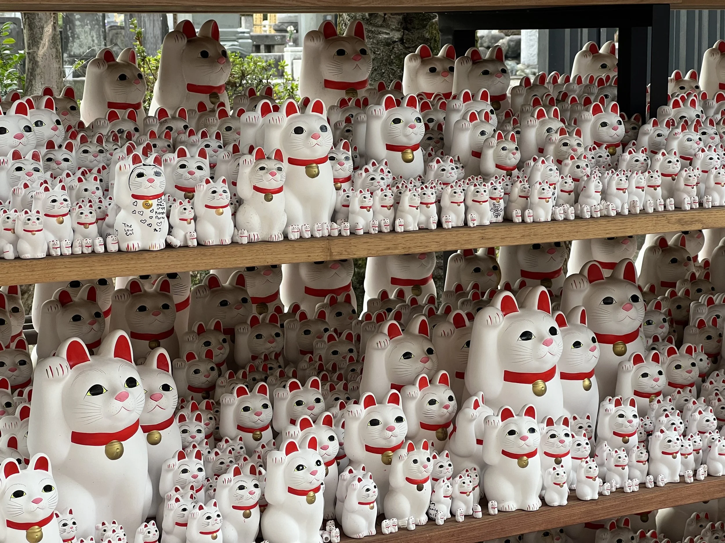 Lucky cats temple in Tokyo
