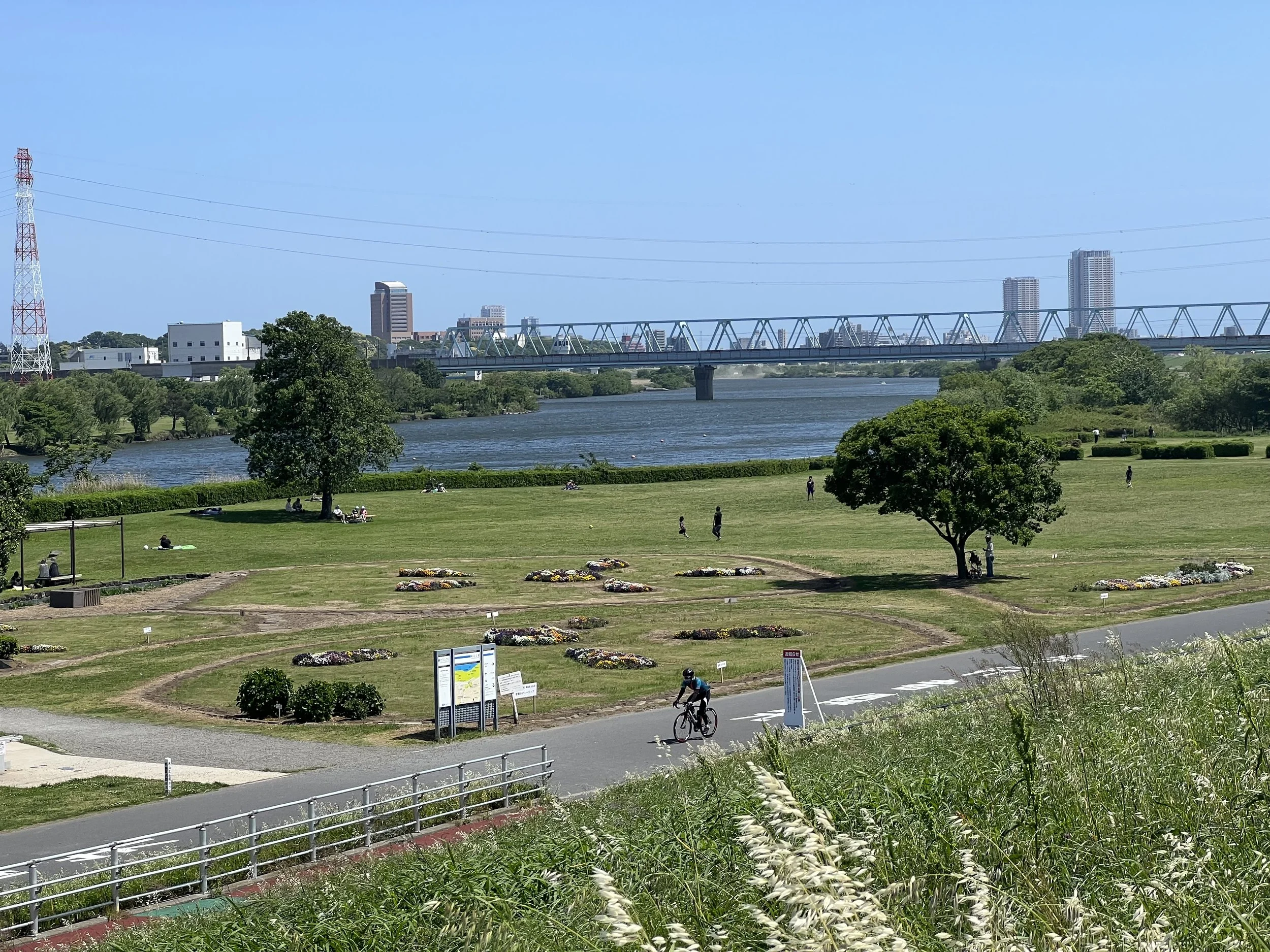 Edogawa Riverbanks near Shibamata