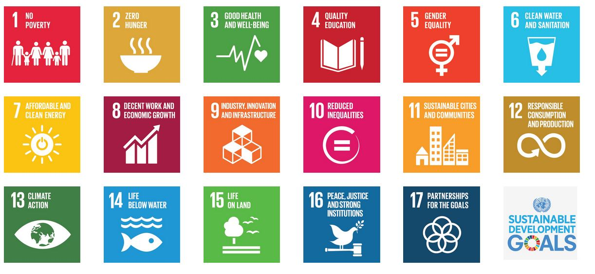 United Nations Sustainable Development Goals supported by our work
