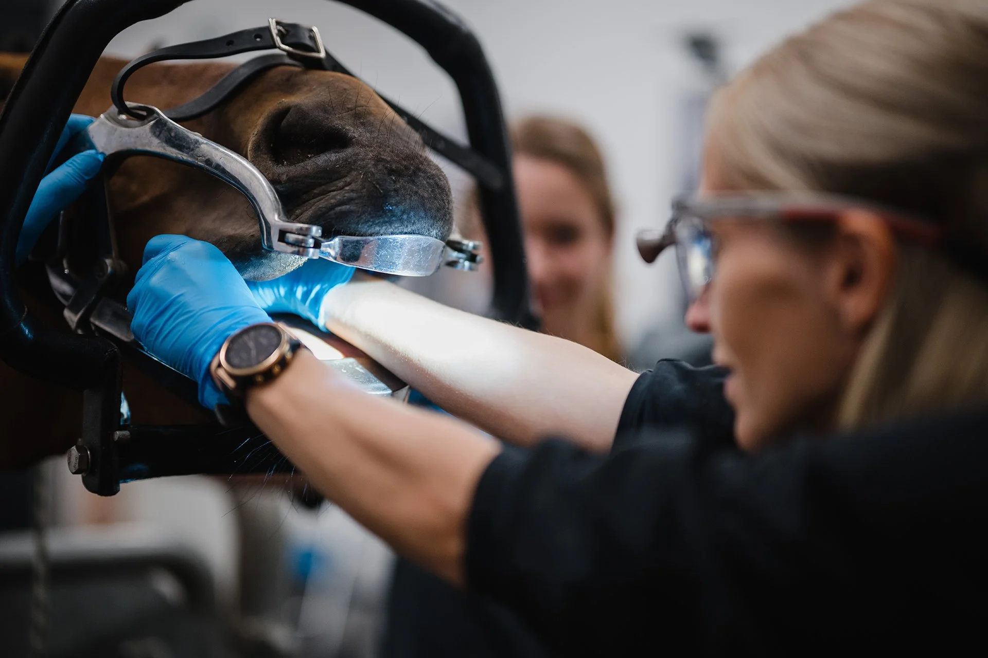 230530_Pferdeklinik_Seeburg_2_044.jpg