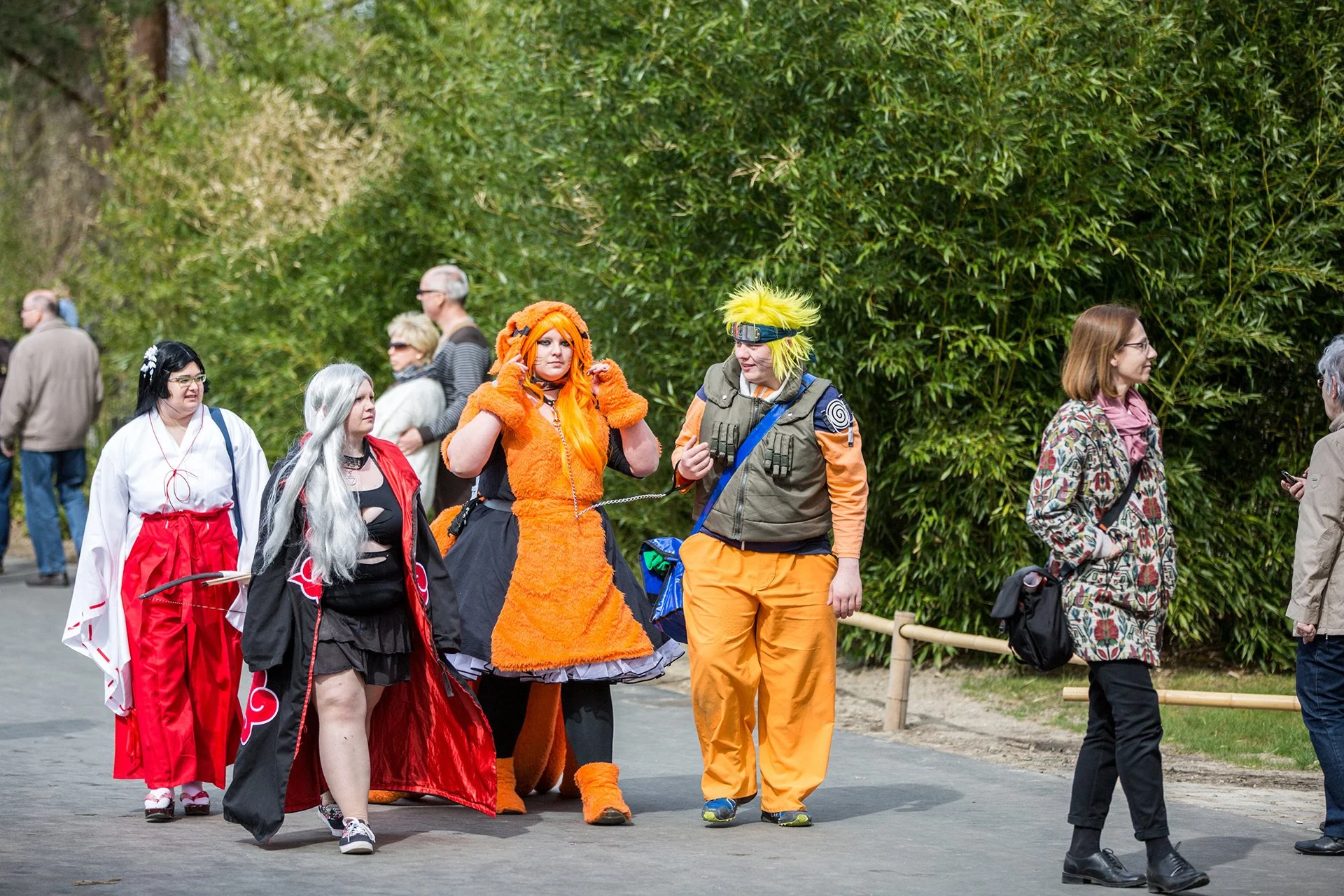 Eventfotografie_Kirschbluete_GdW_230.jpeg