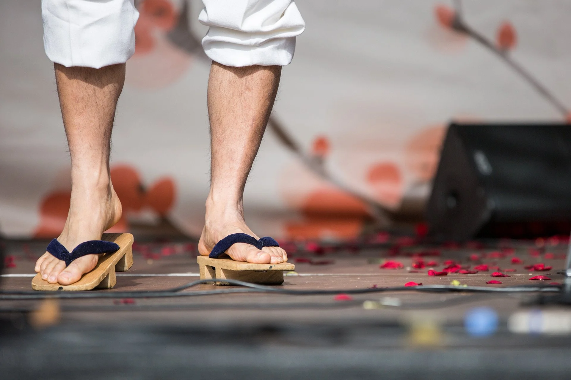 Eventfotografie_Kirschbluete_GdW_491.jpeg