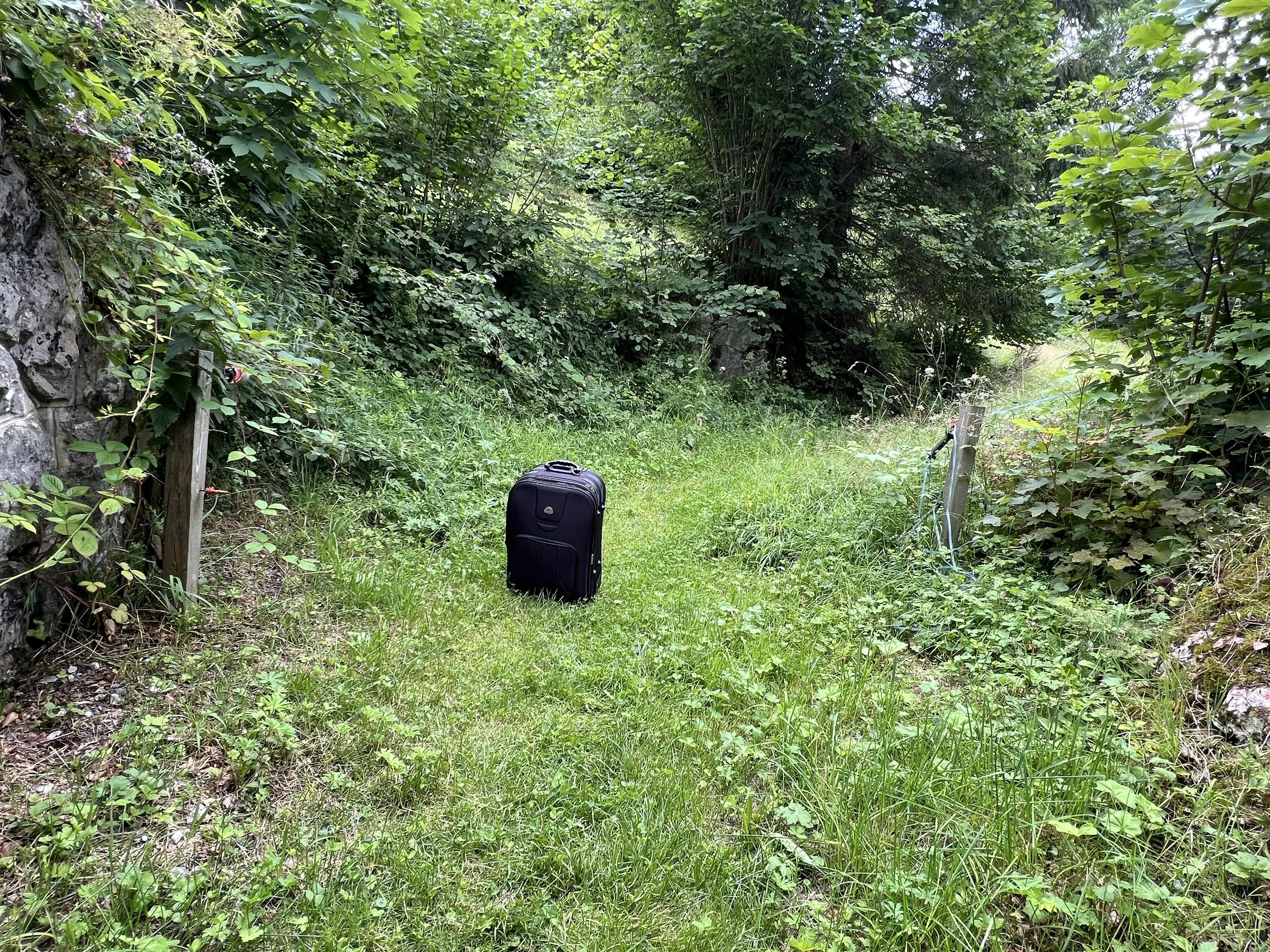 Waldhuis Sommerferien vom 19.07.-22.07.25