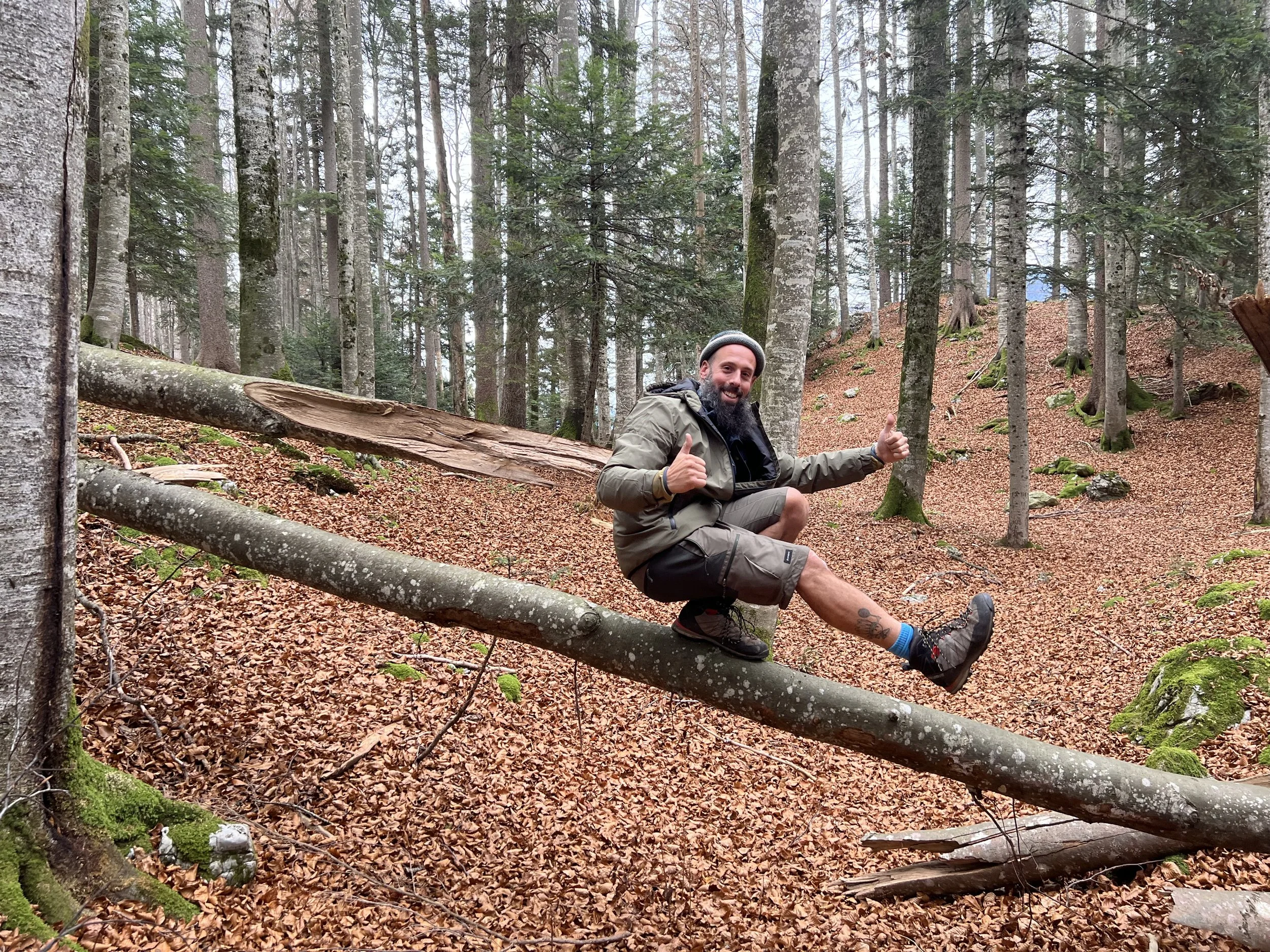 Herbstferien 2025 at Waldhuis