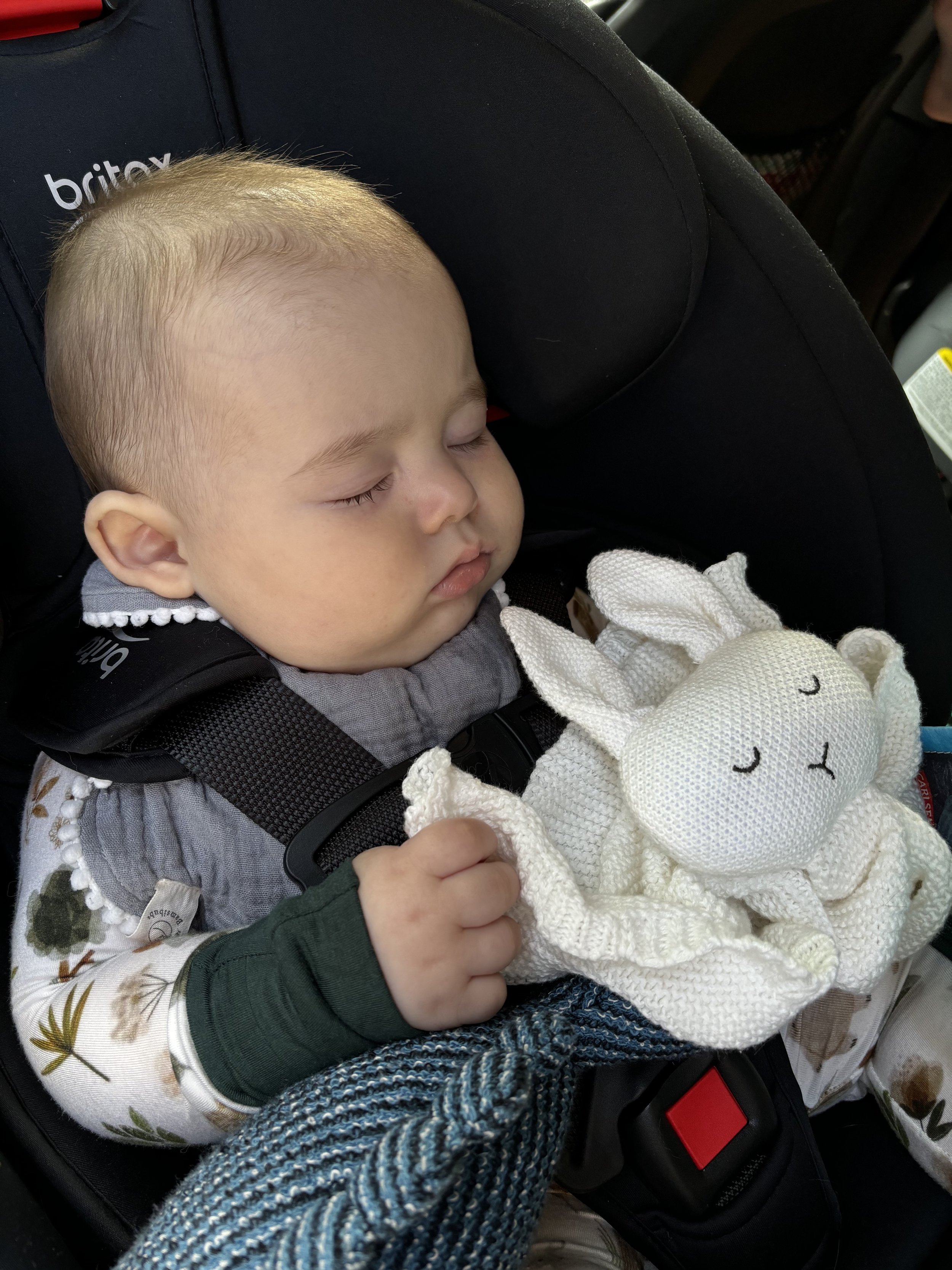 GOTS Certified Organic Cotton Bunny Comforter Baby