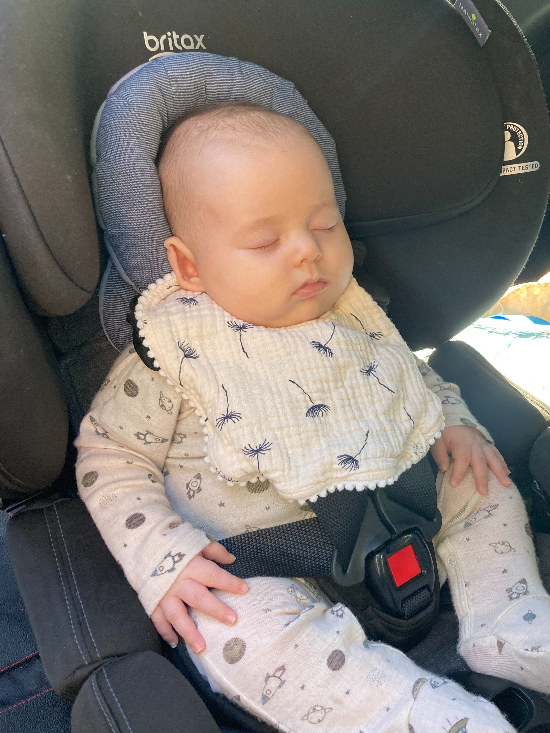 BIB+CAR+SEAT.jpg