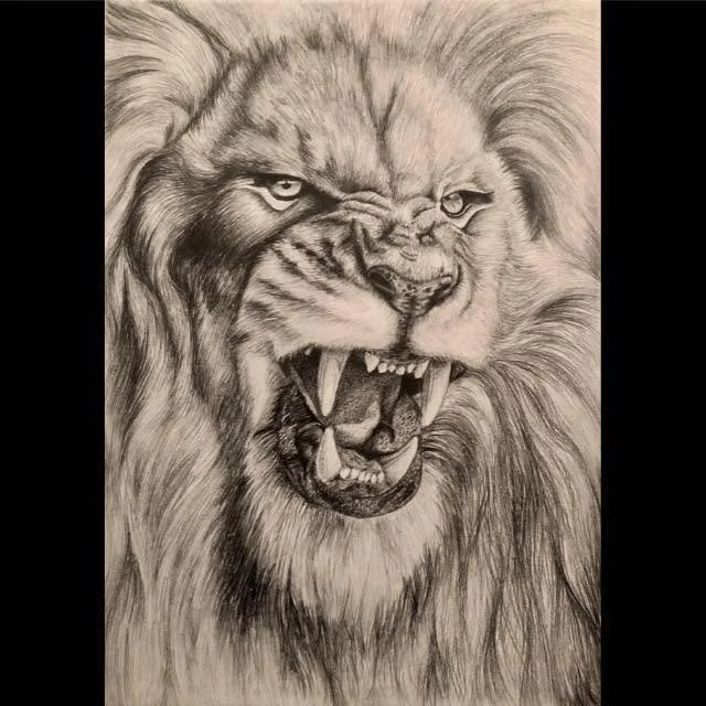 Lion.jpg