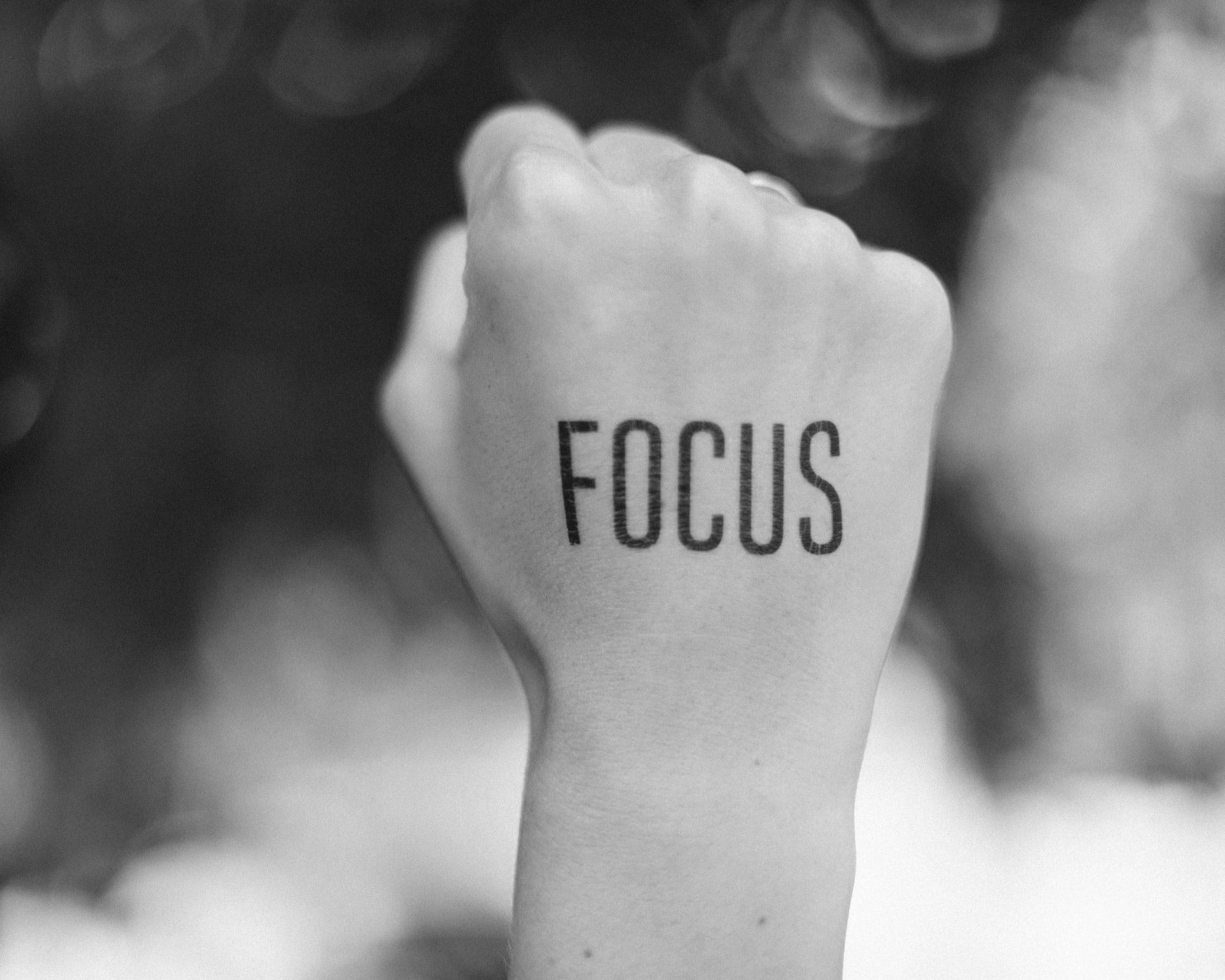 unsplash-image-dGqWUPPesrQ.jpg