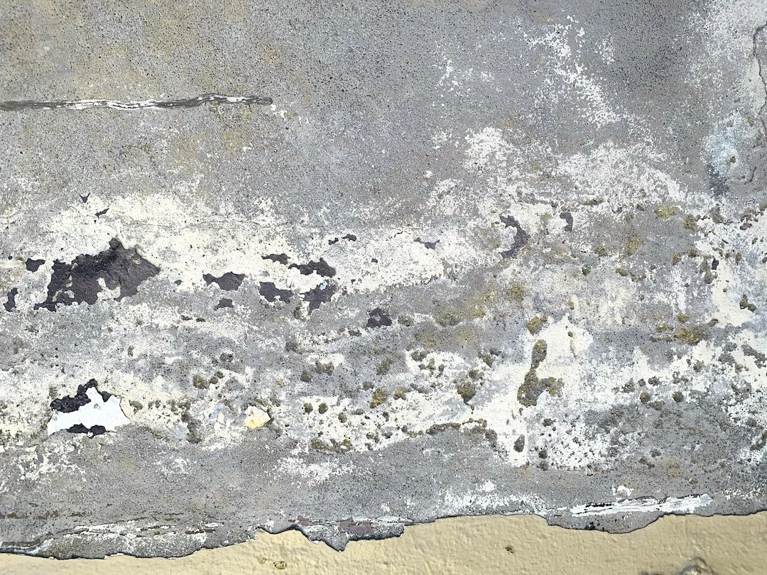 Close-up of a deteriorated concrete wall with peeling paint and moss.