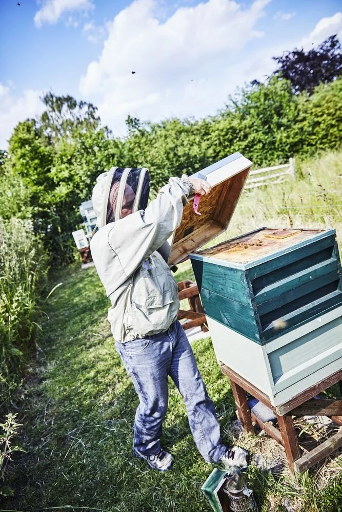 Bee Hives