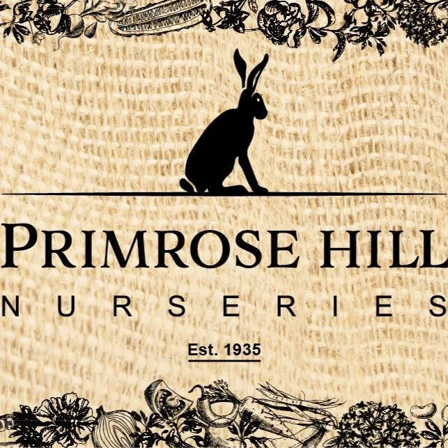 Logo for Primrose Hill Nurseries featuring a rabbit silhouette, floral design at top, and harvest imagery at bottom, with established date 1935.