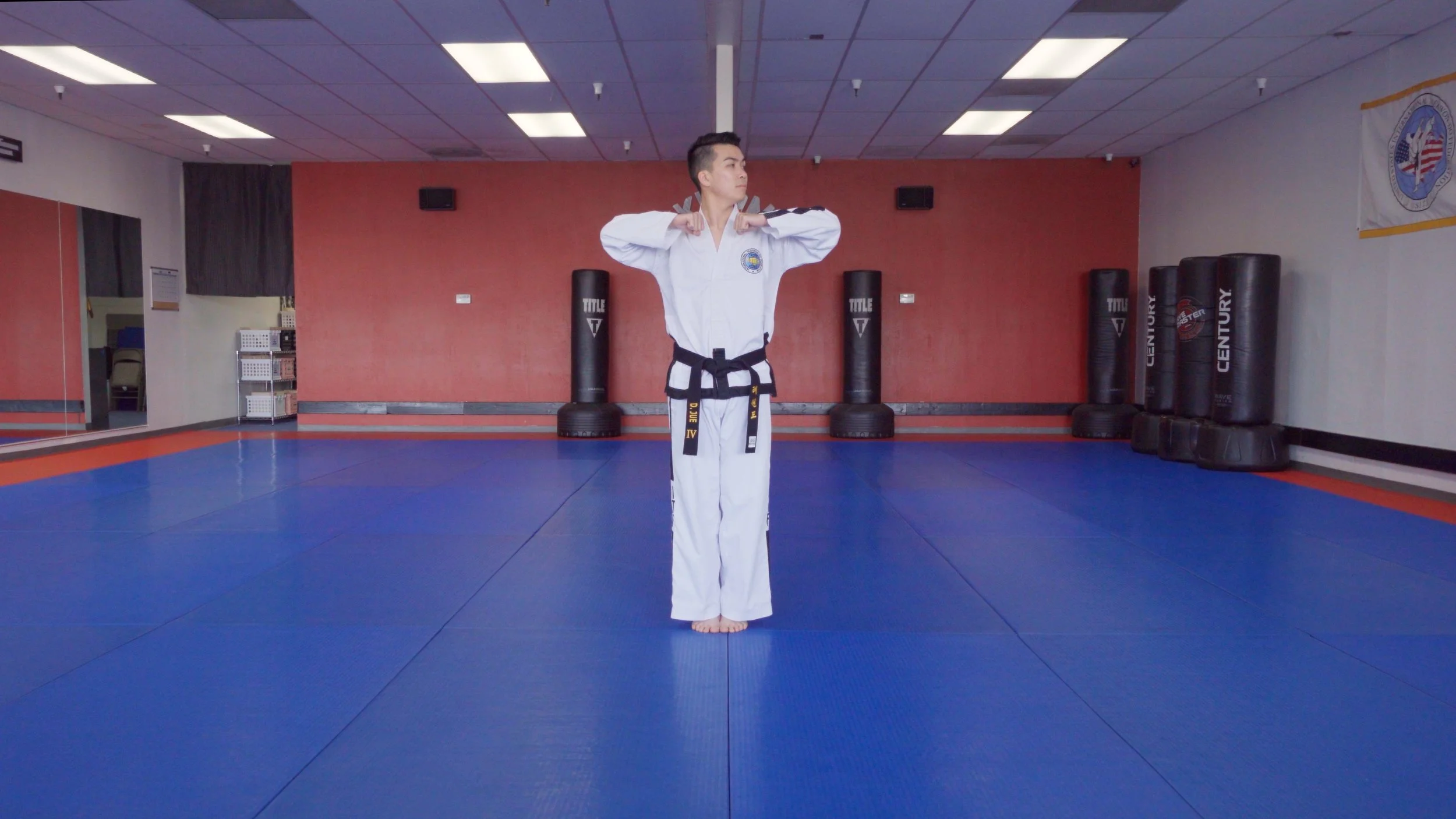 TW+ Update | Twin Elbow Horizontal Thrust